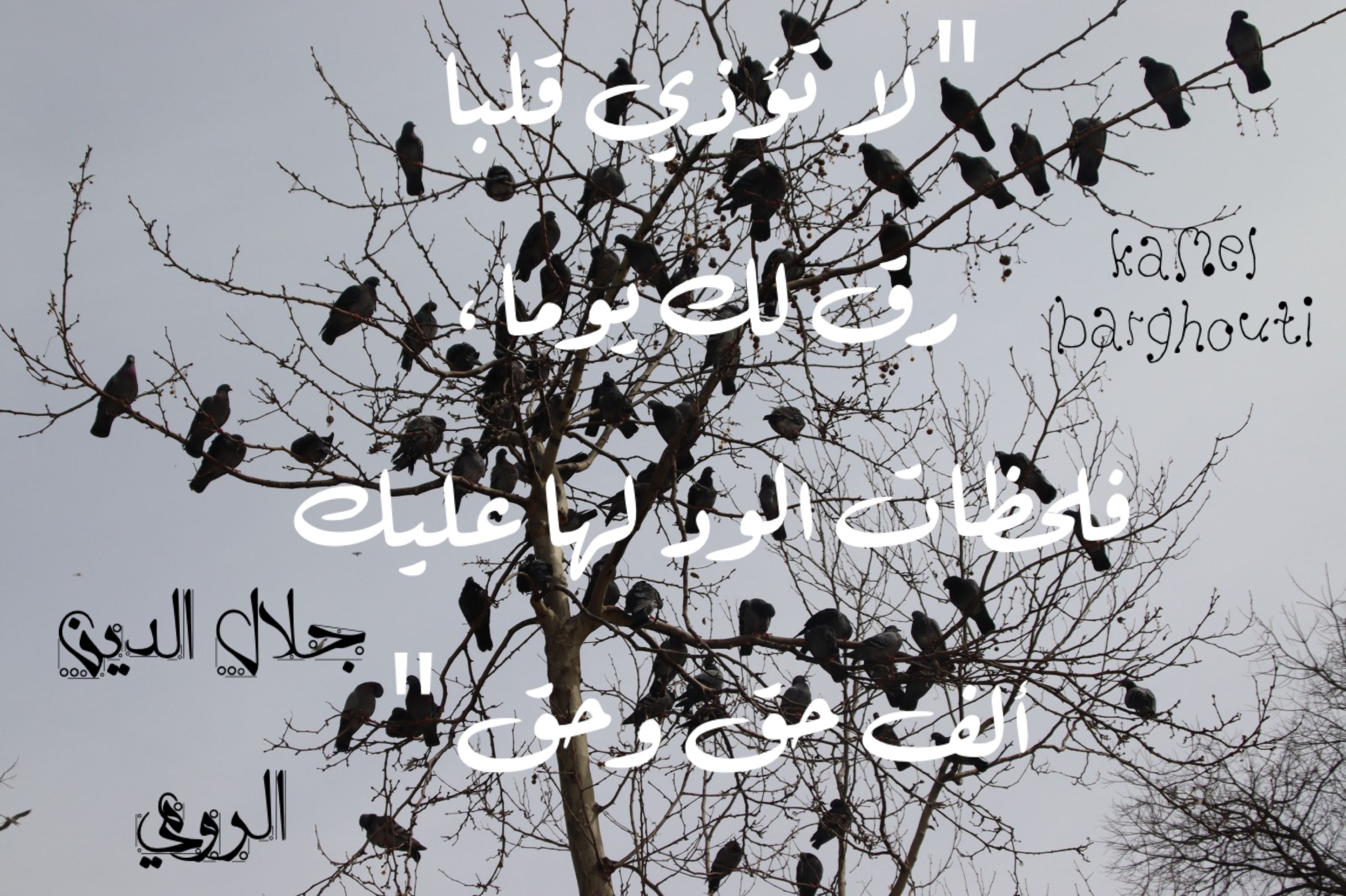 الحق والعدل والصدق – اقتباس 96
