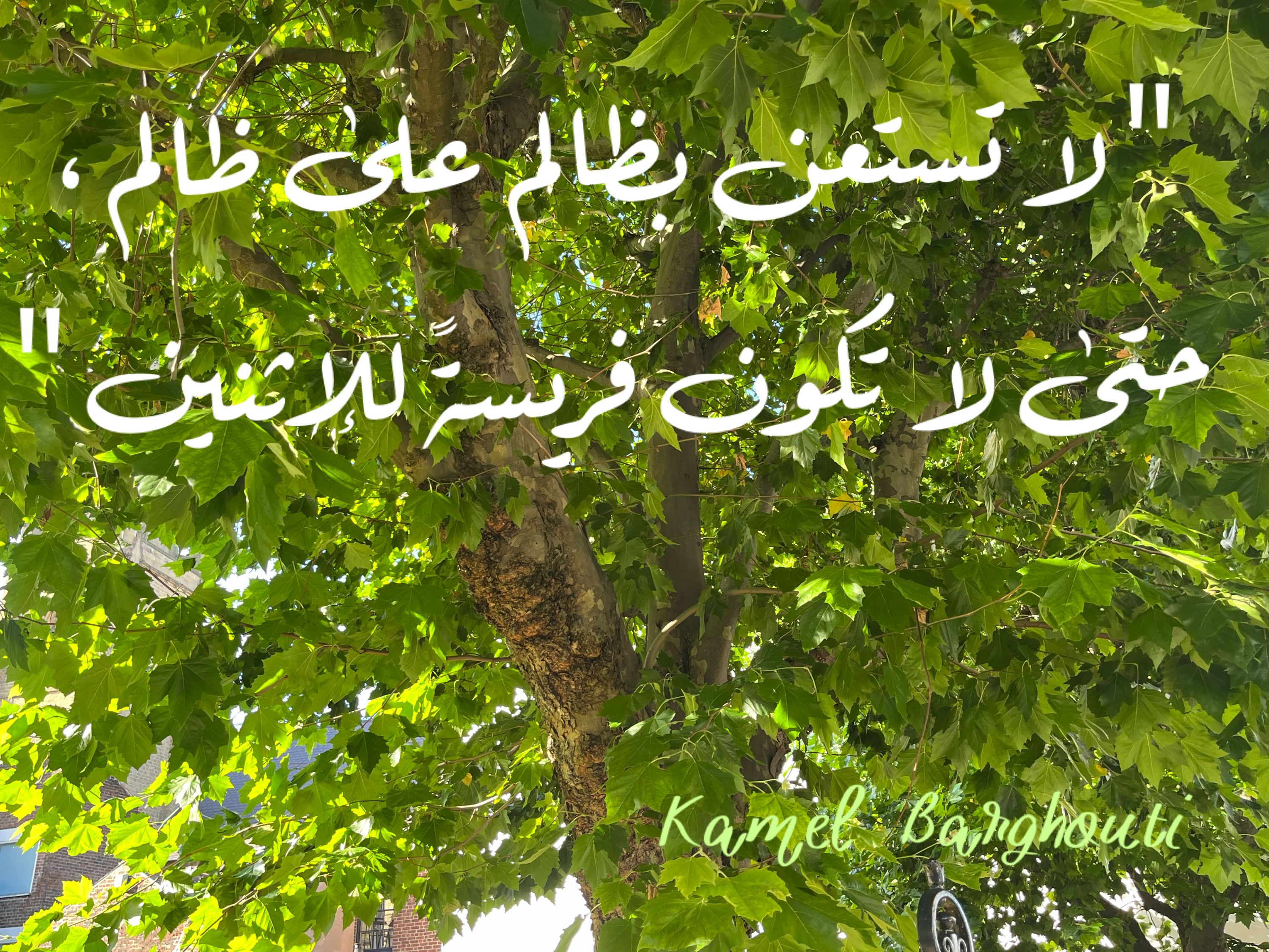 الحق والعدل والصدق – اقتباس 84