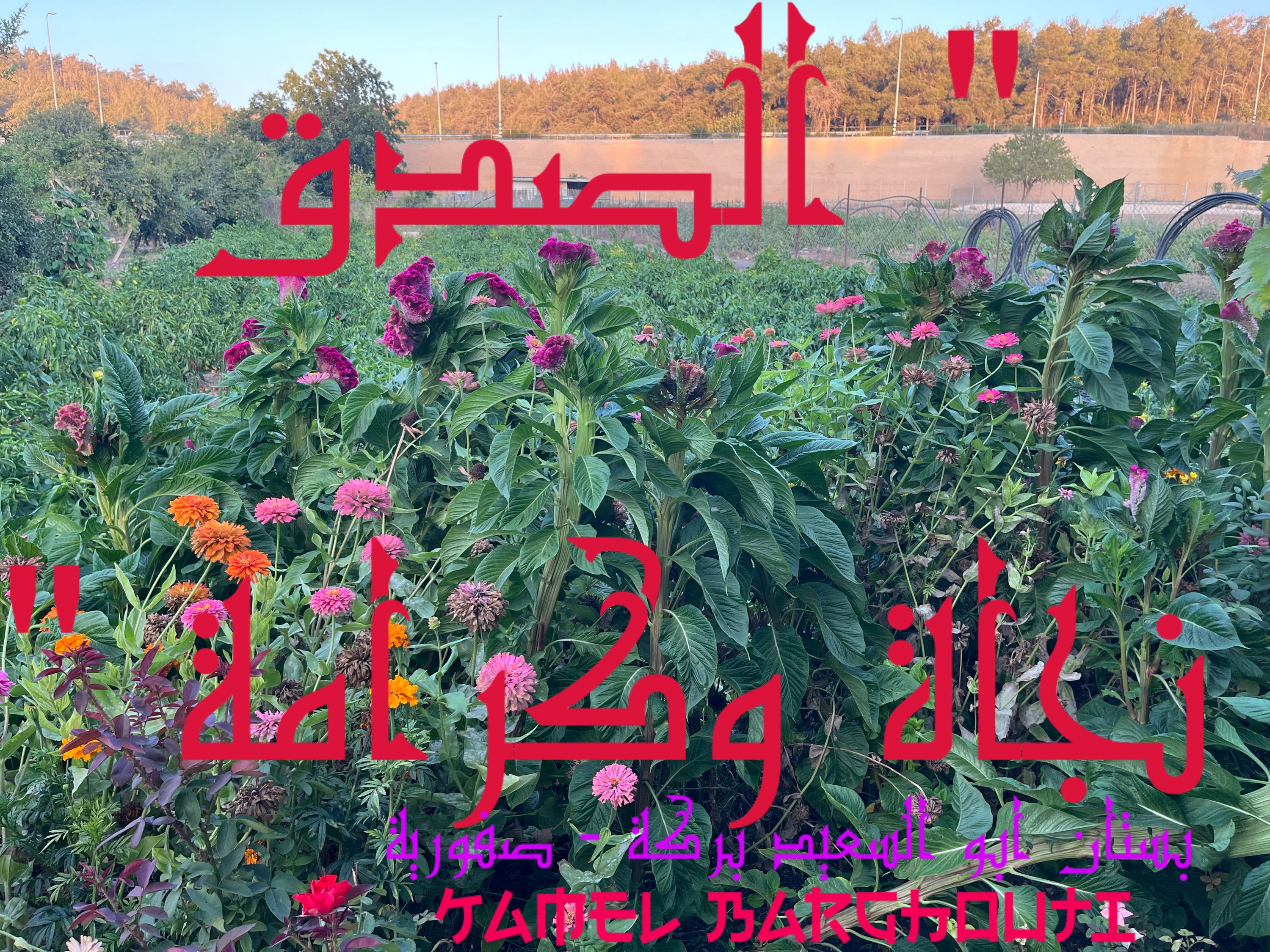 الحق والعدل والصدق – اقتباس 73