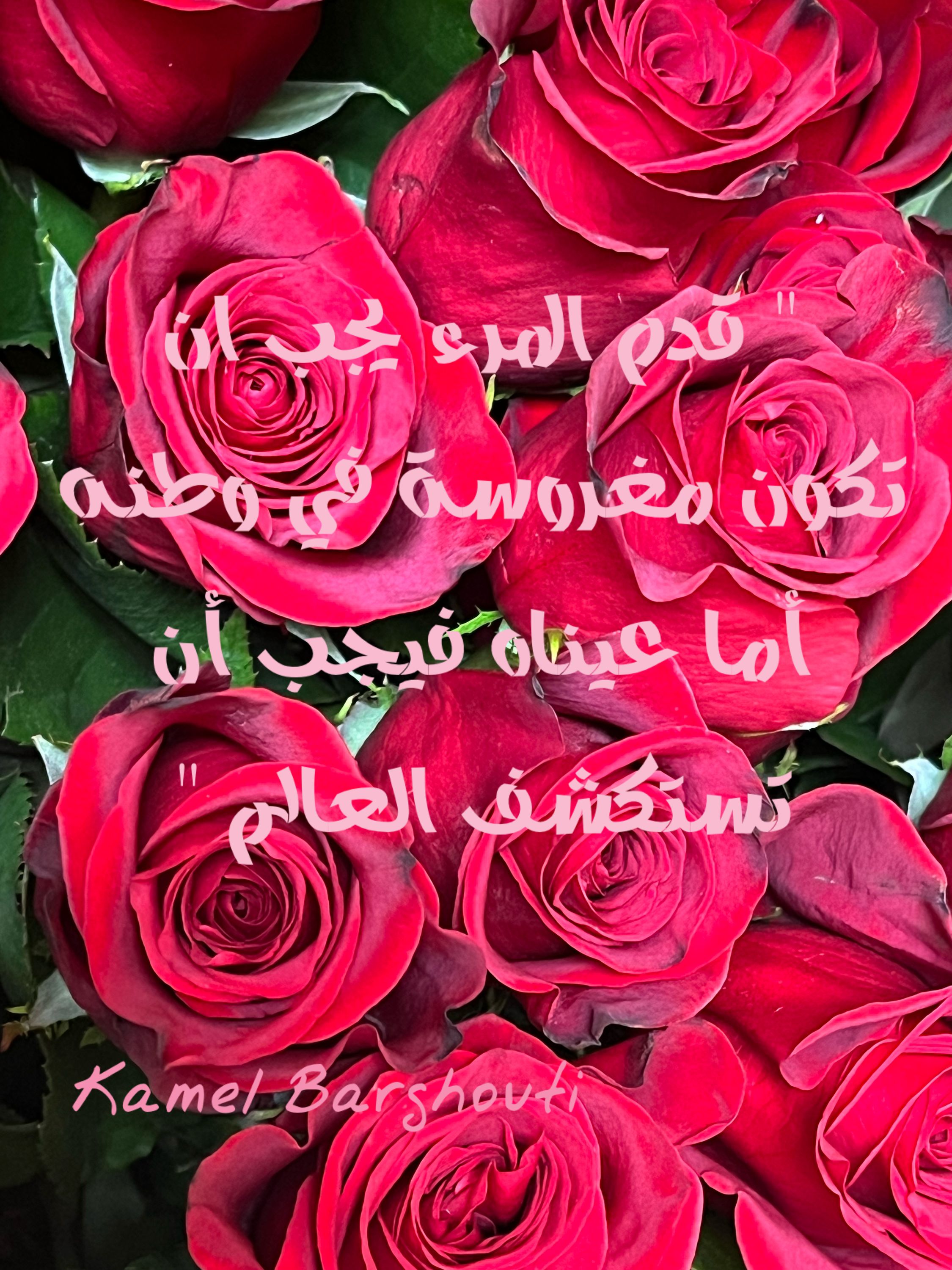 وطن – اقتباس 97
