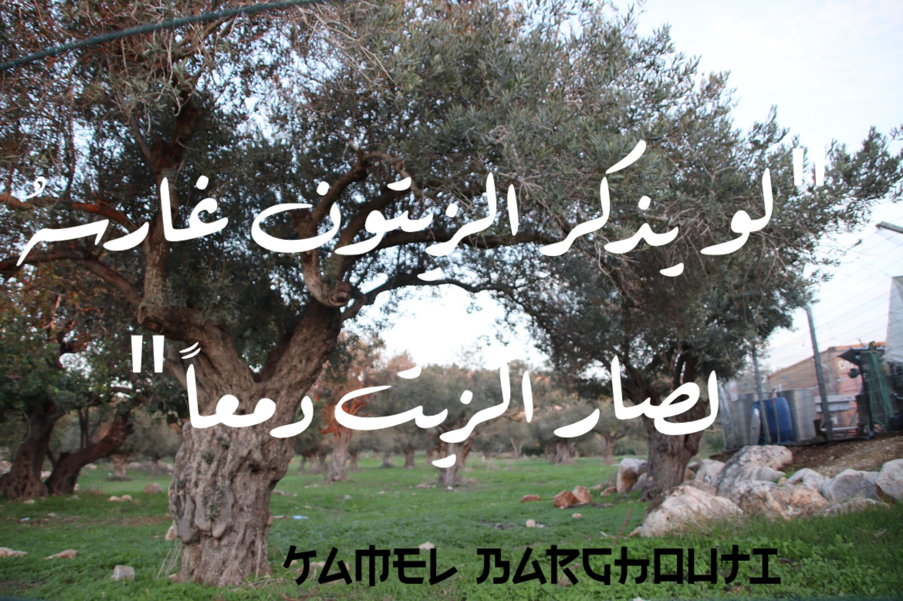 وطن – اقتباس 100