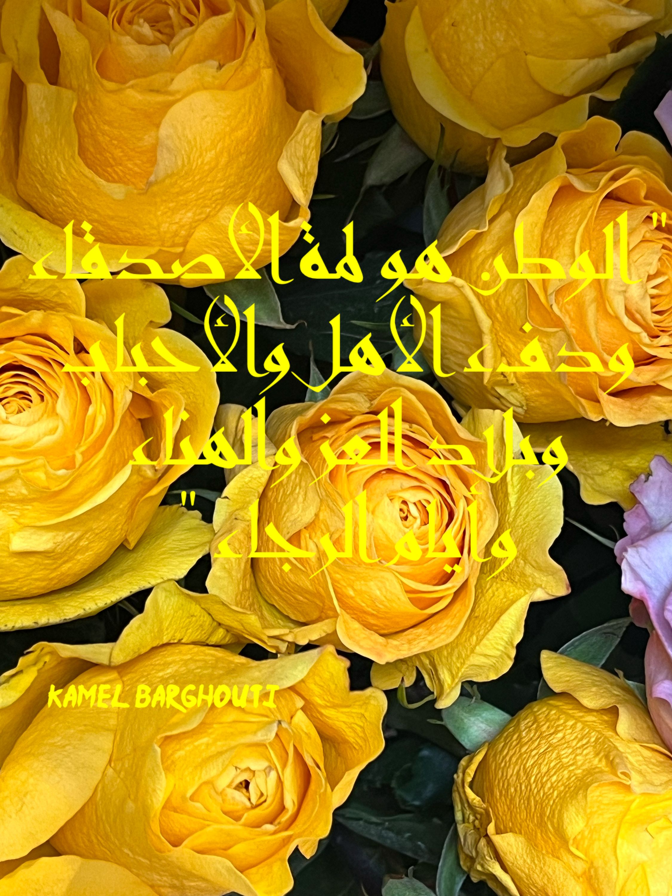 وطن – اقتباس 99