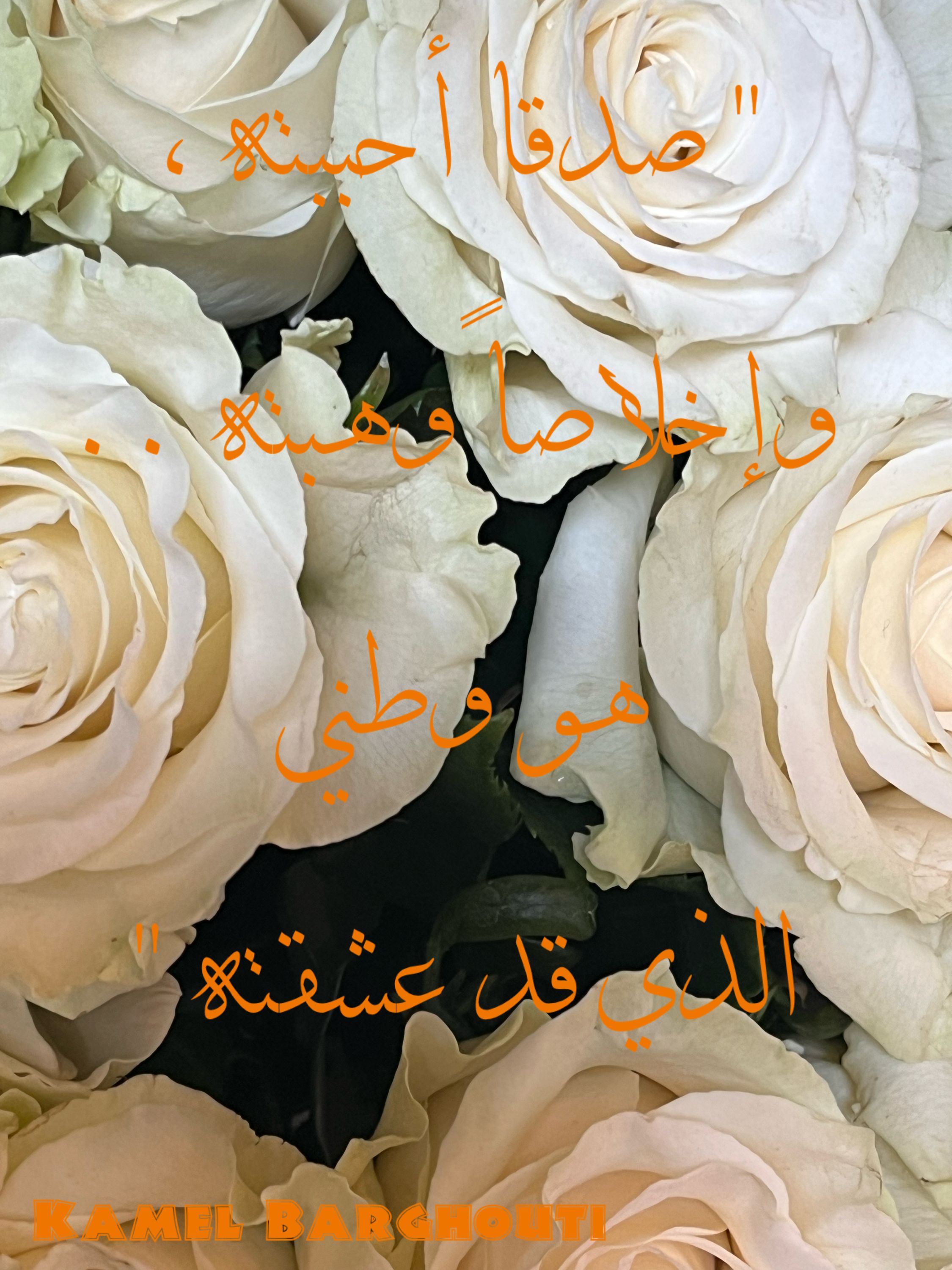 وطن – اقتباس 89