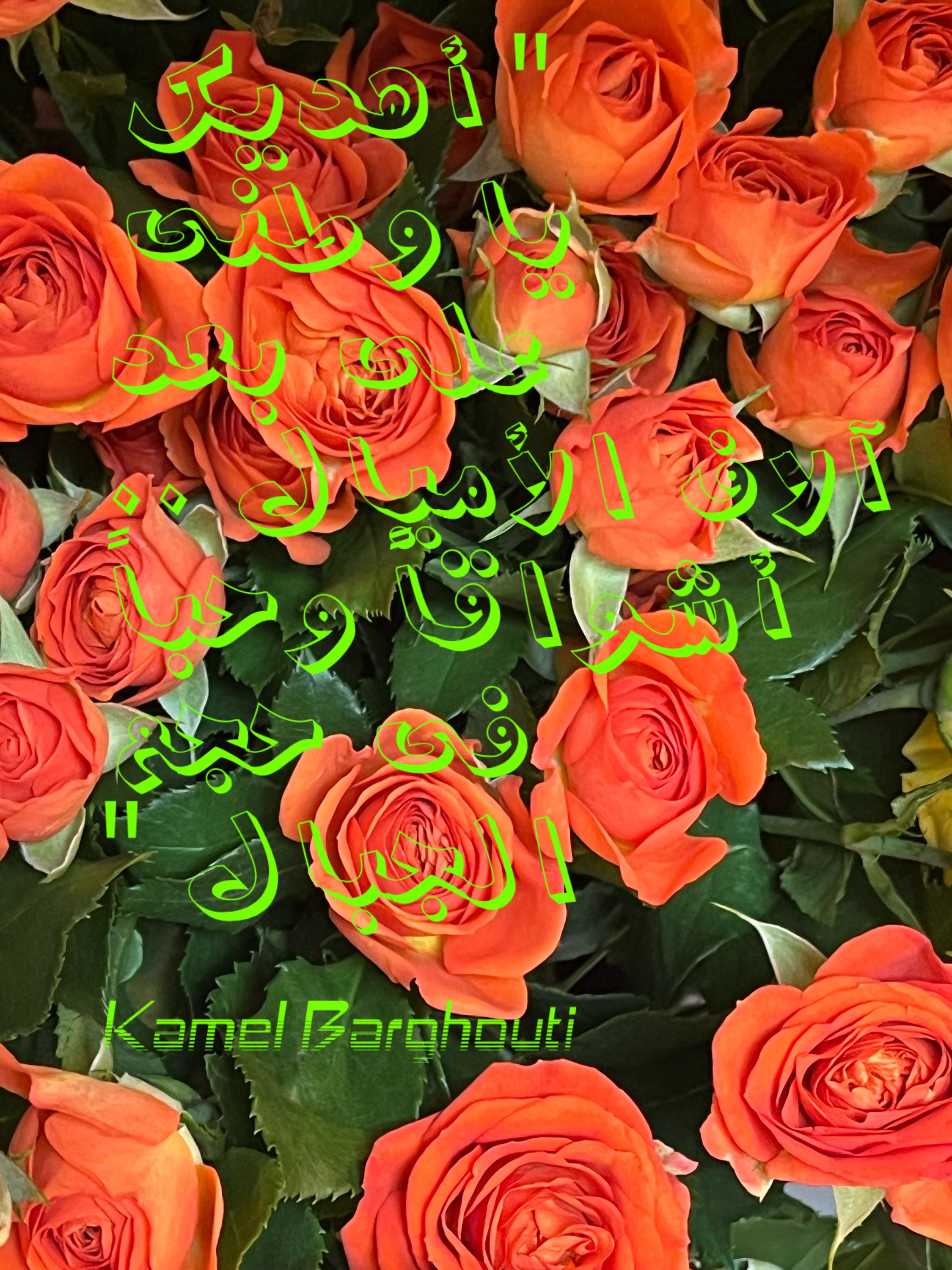 وطن – اقتباس 79