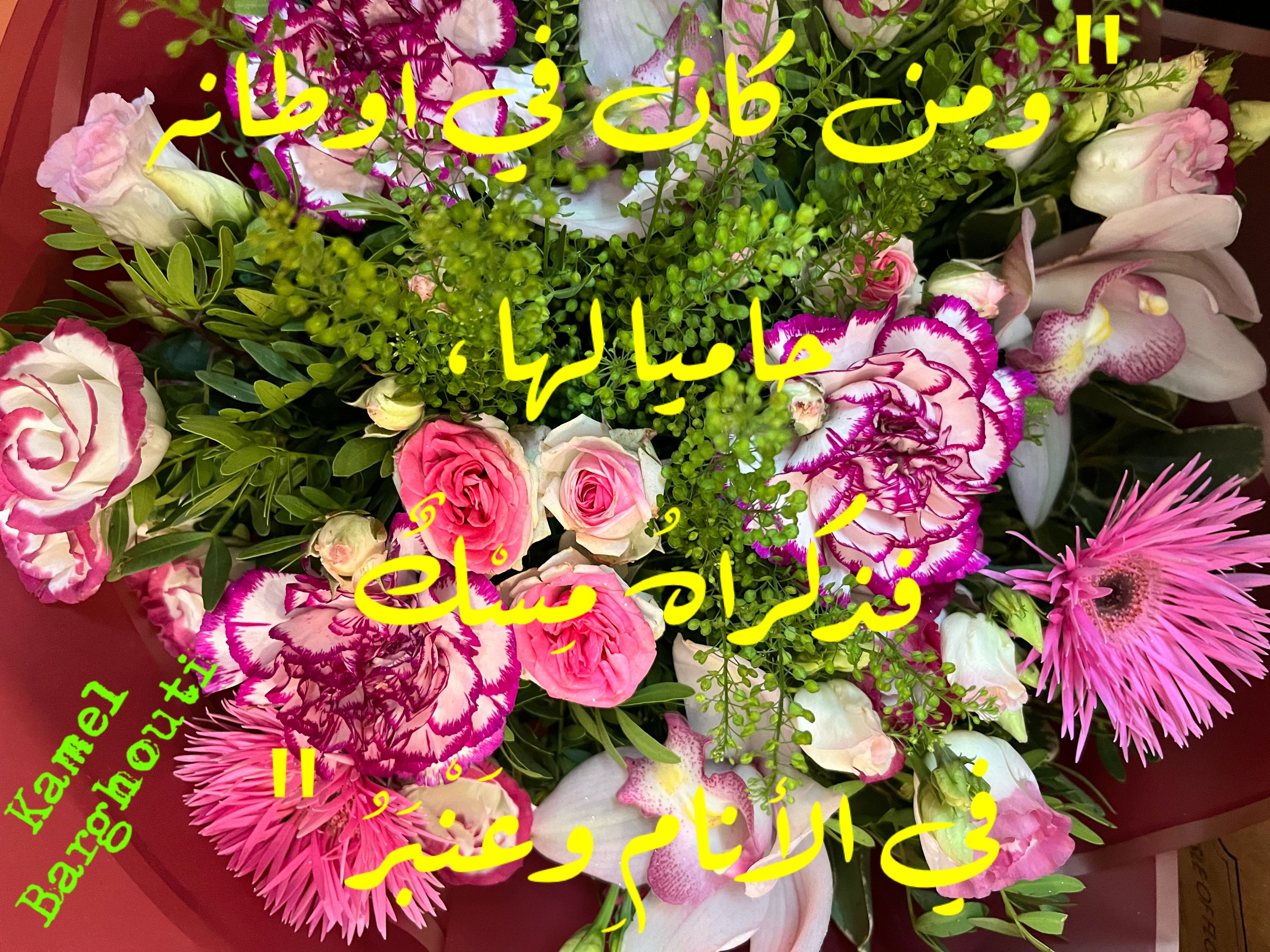 وطن – اقتباس 85