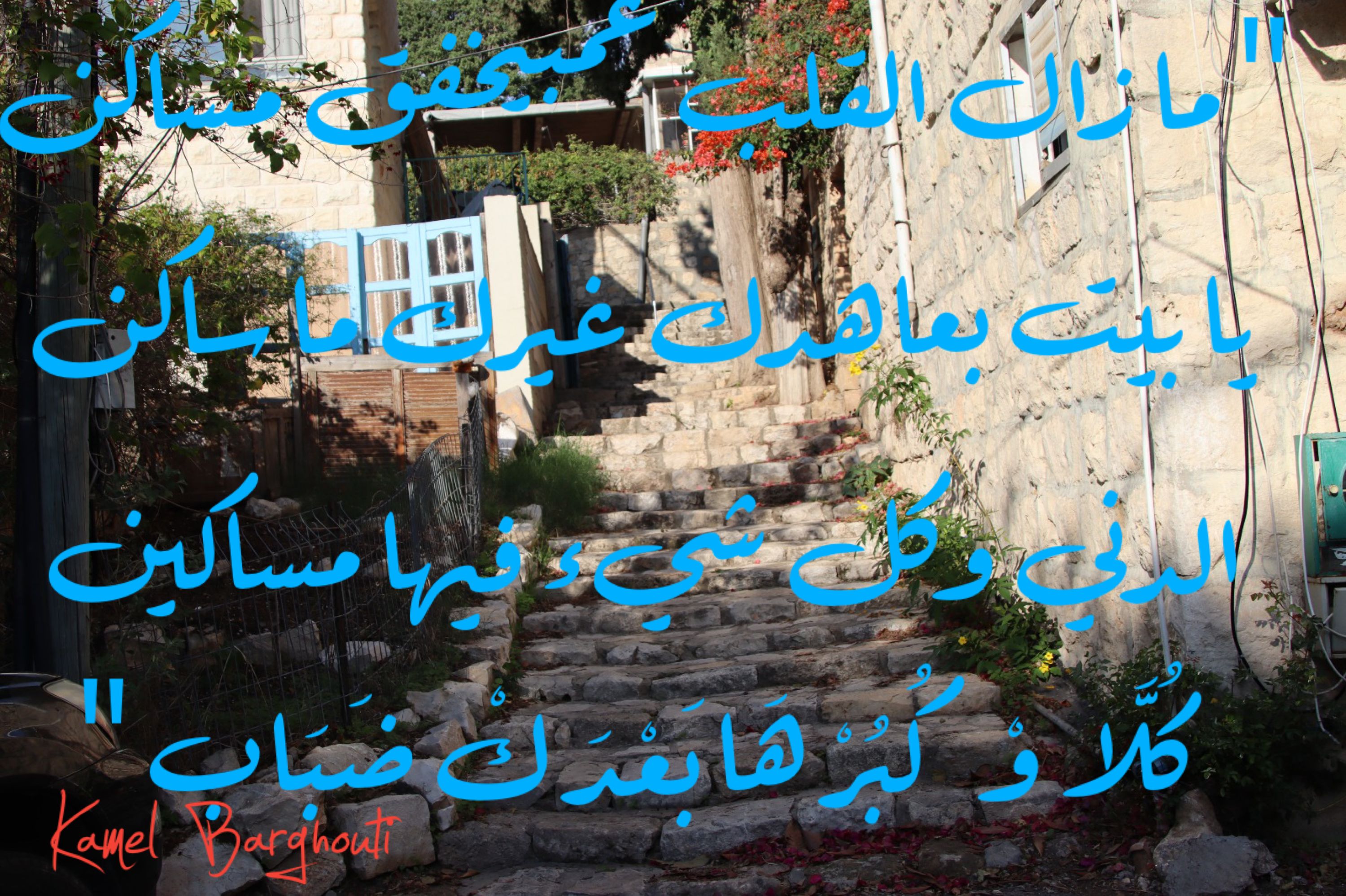 وطن – اقتباس 81