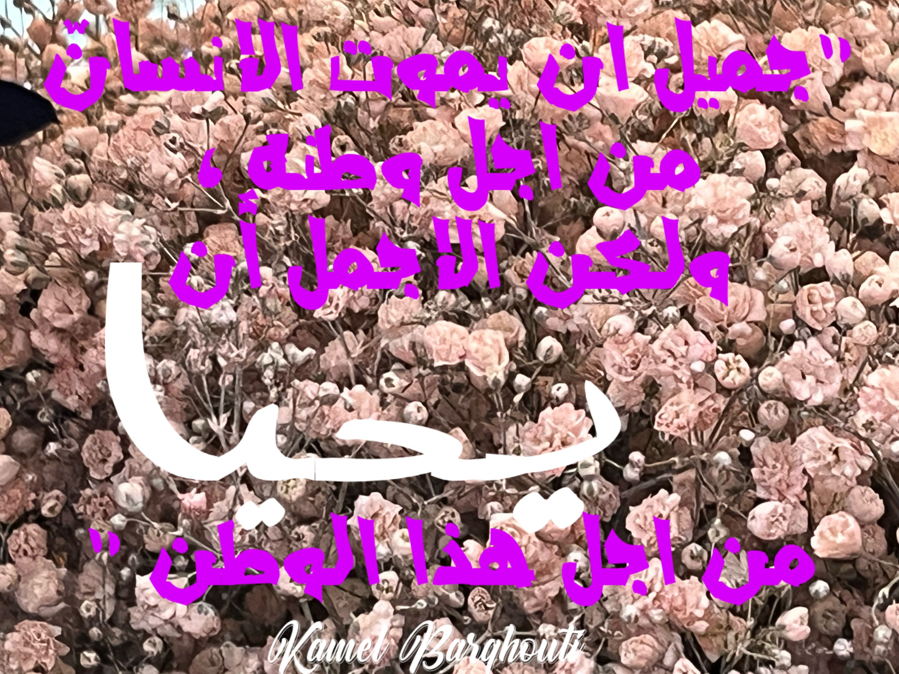 وطن – اقتباس 82
