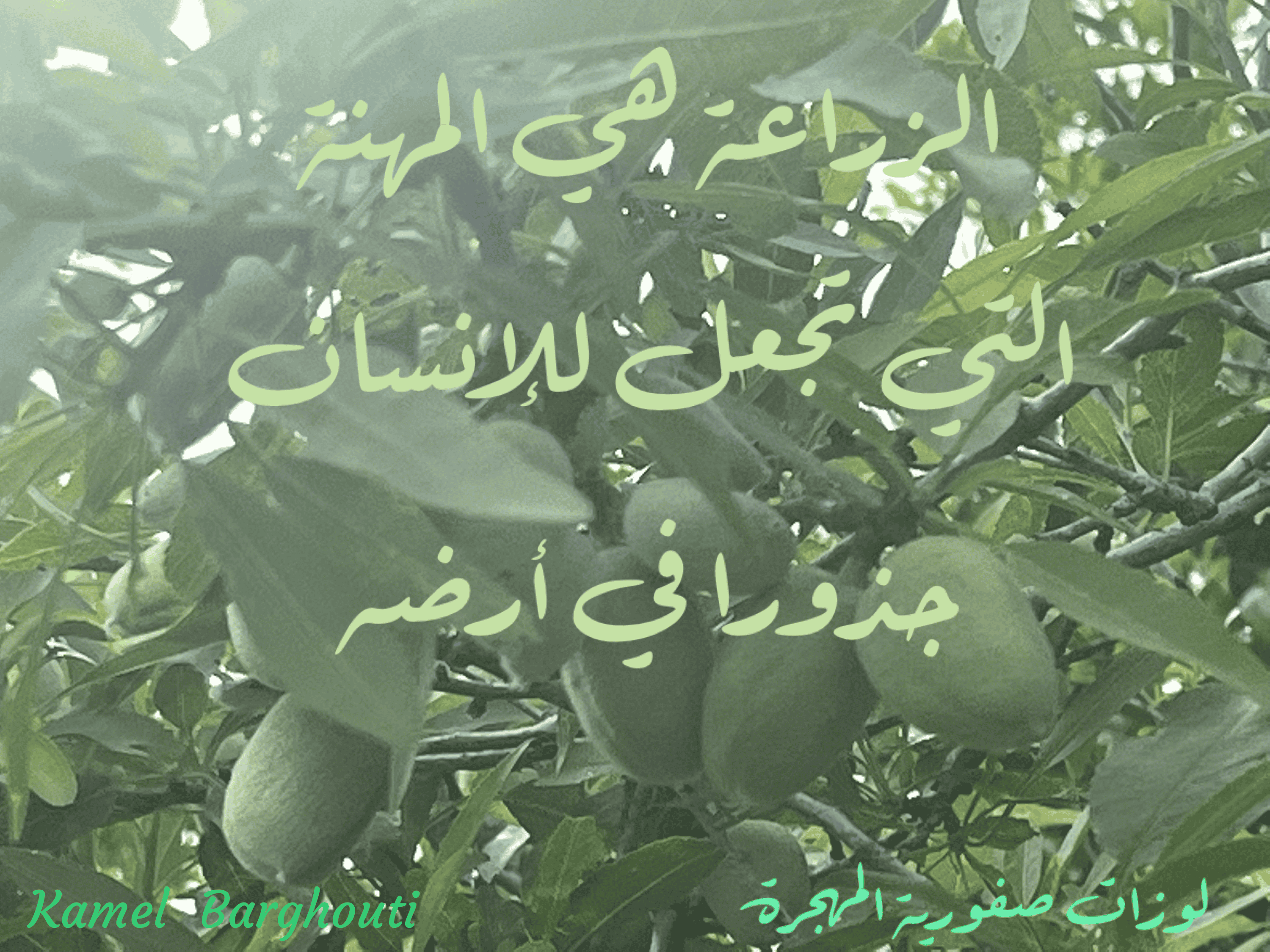 وطن – اقتباس 55