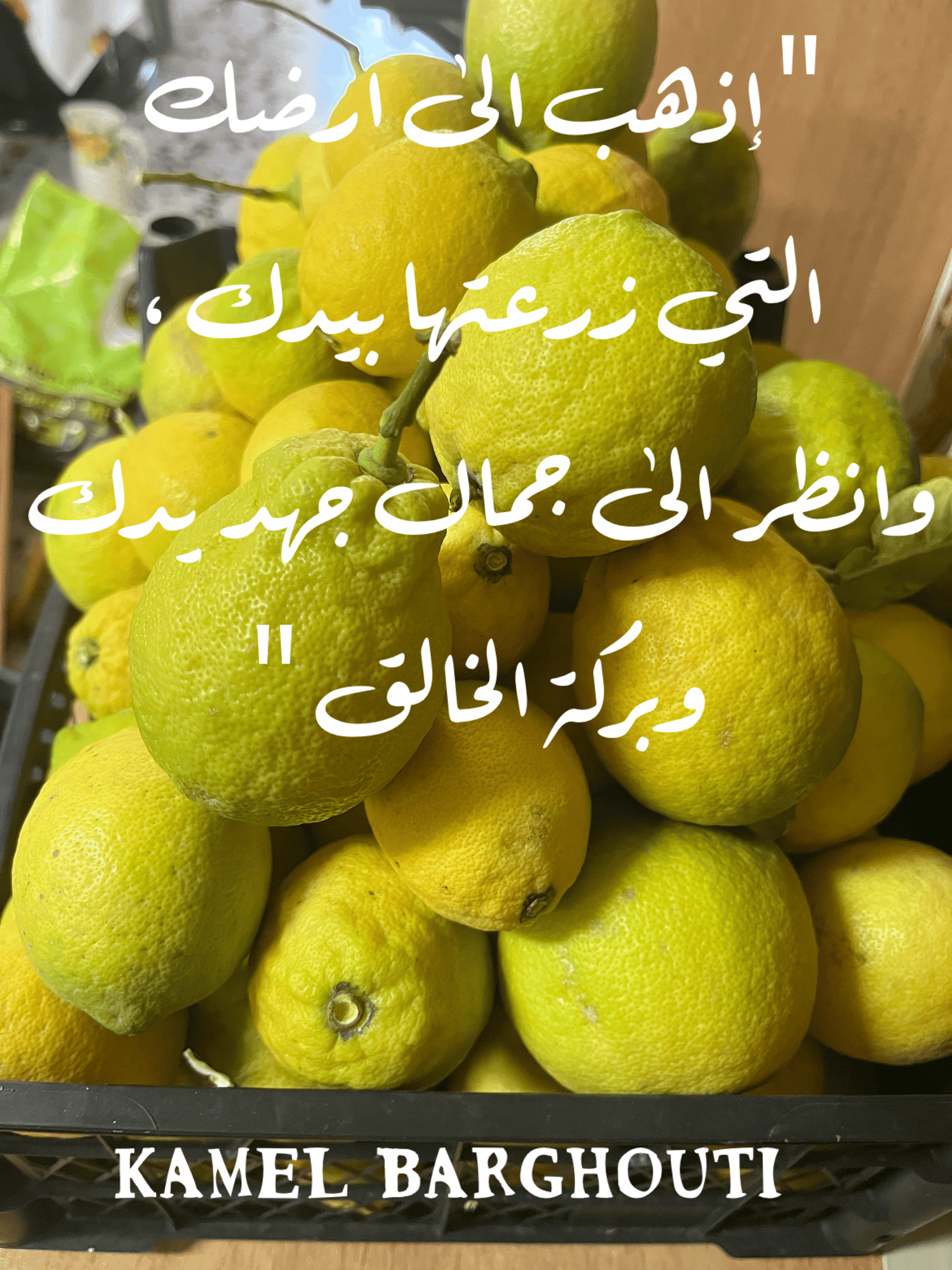 وطن – اقتباس 21