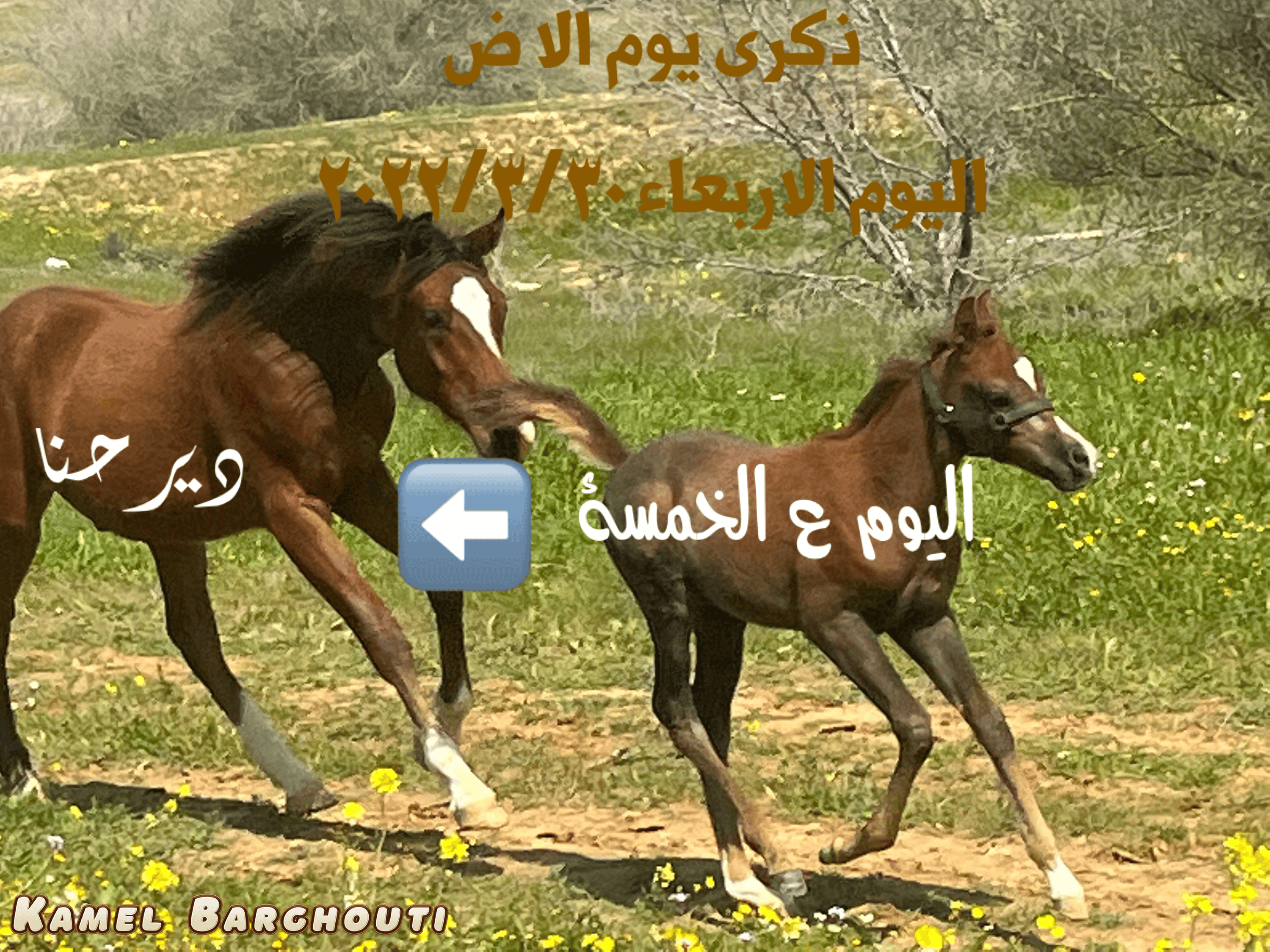 وطن – اقتباس 7
