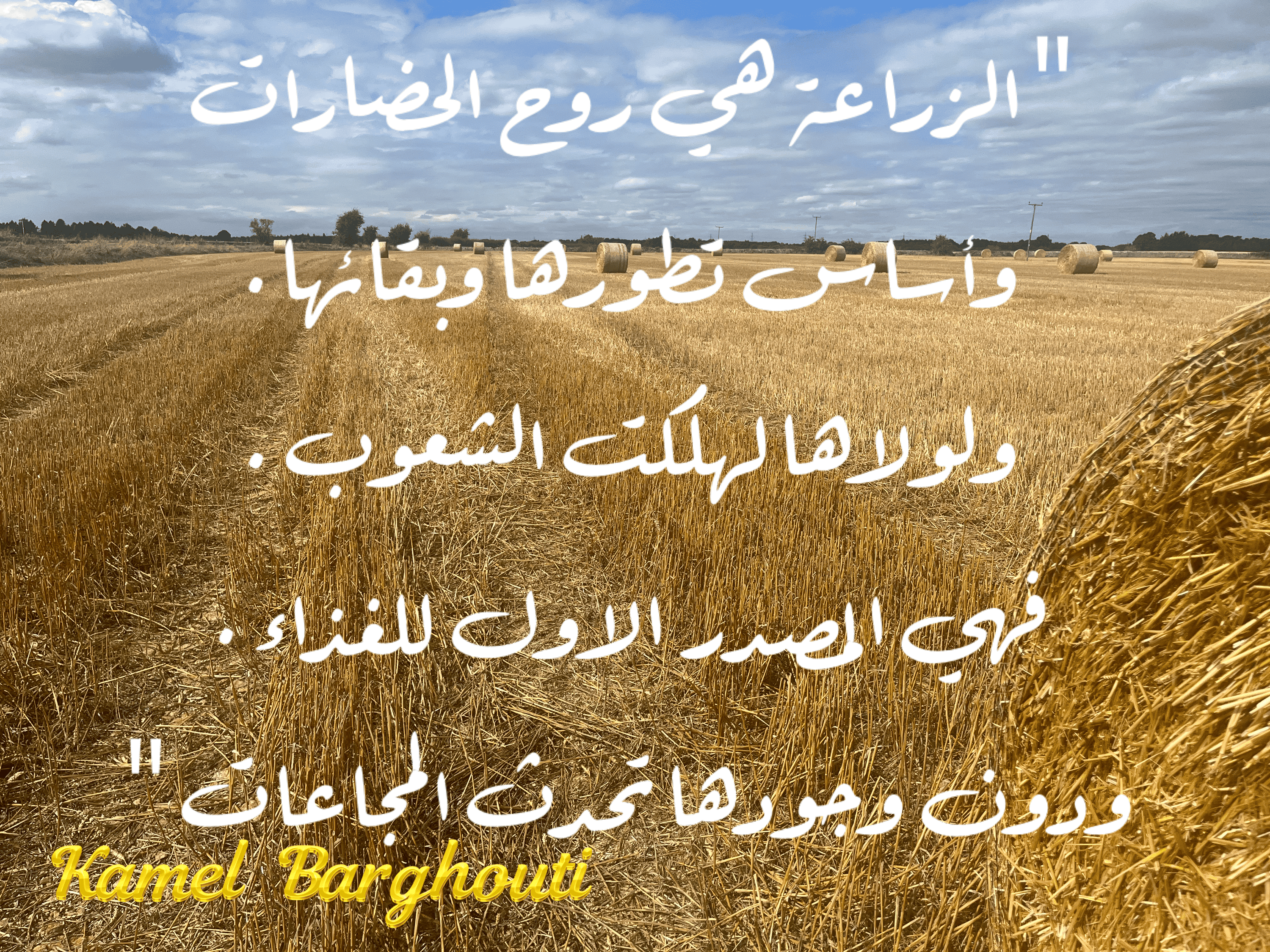وطن – اقتباس 6