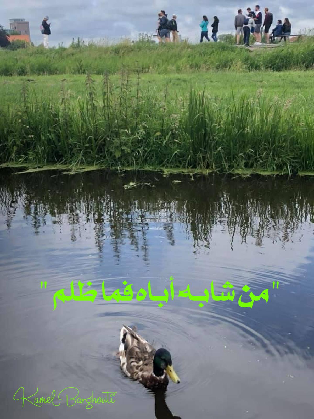 أمثال محلية – اقتباس 86