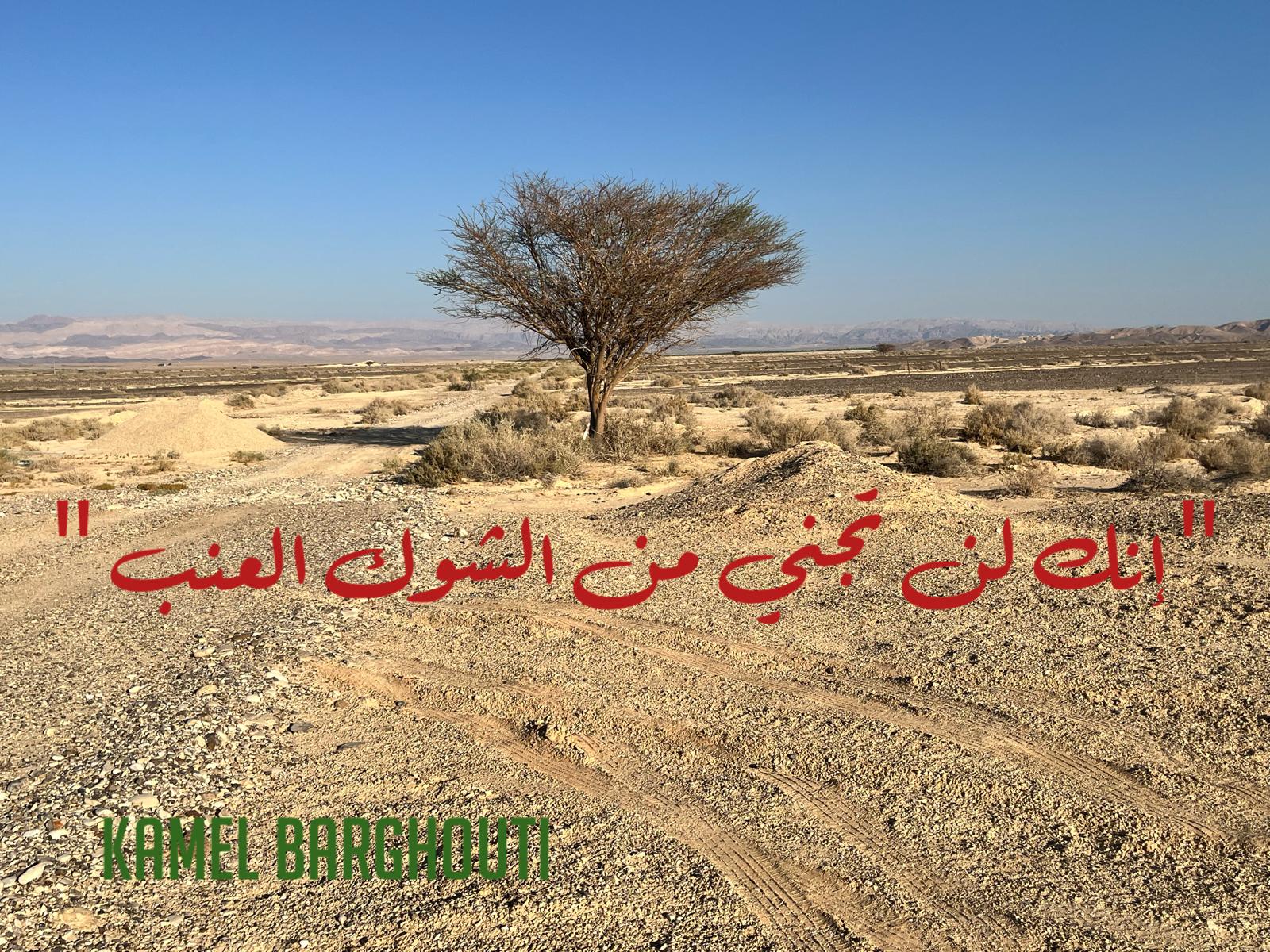 أمثال محلية – اقتباس 92