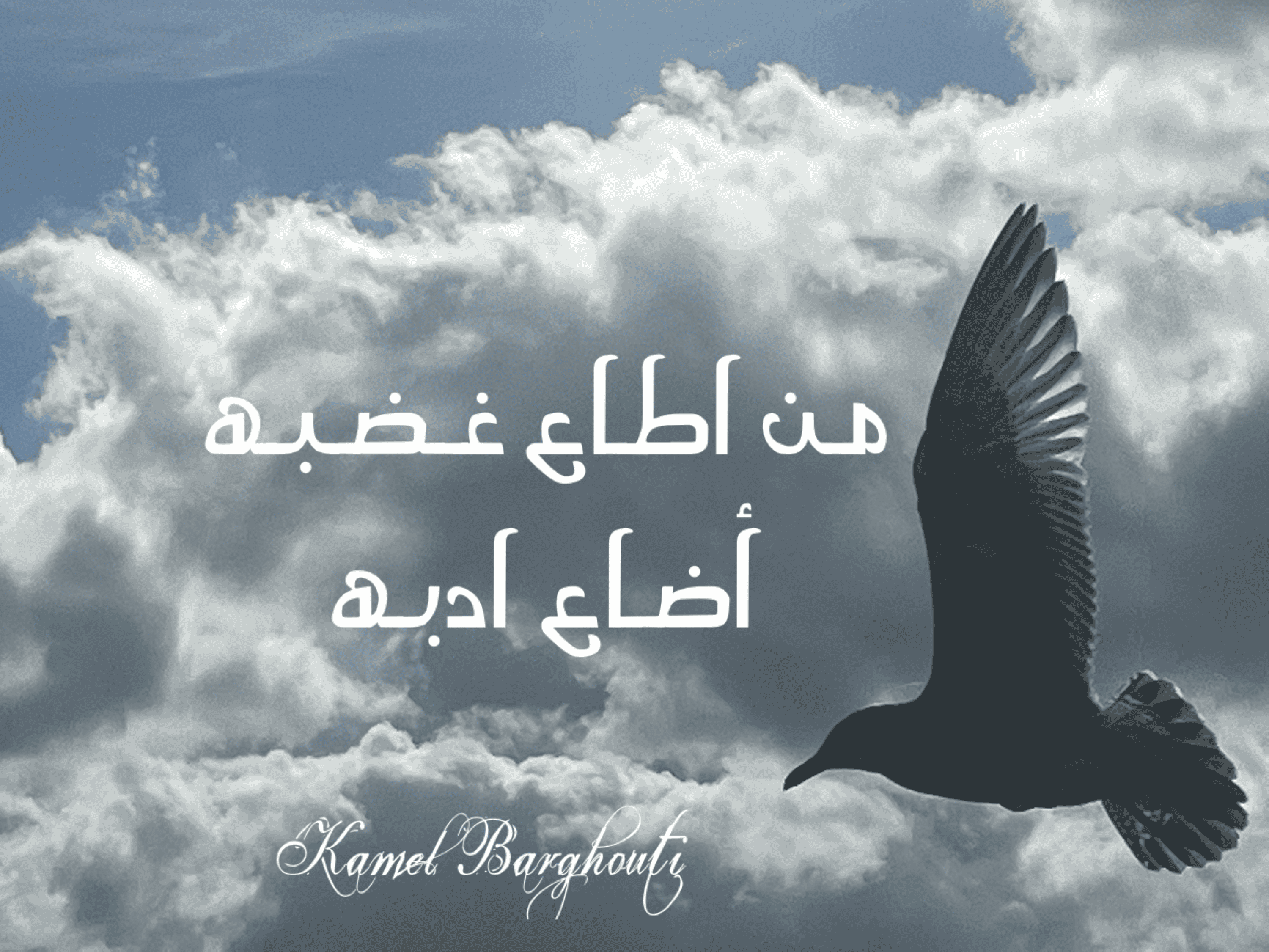 أمثال محلية – اقتباس 81