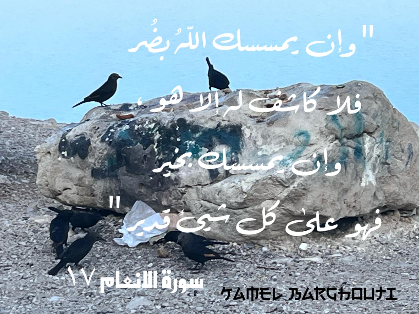 أمثال محلية – اقتباس 89