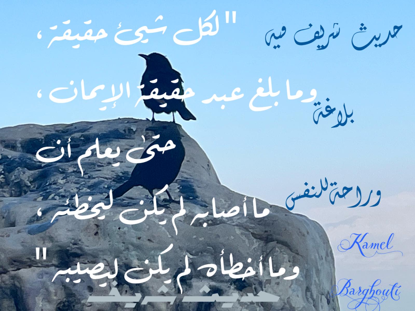 أمثال محلية – اقتباس 84