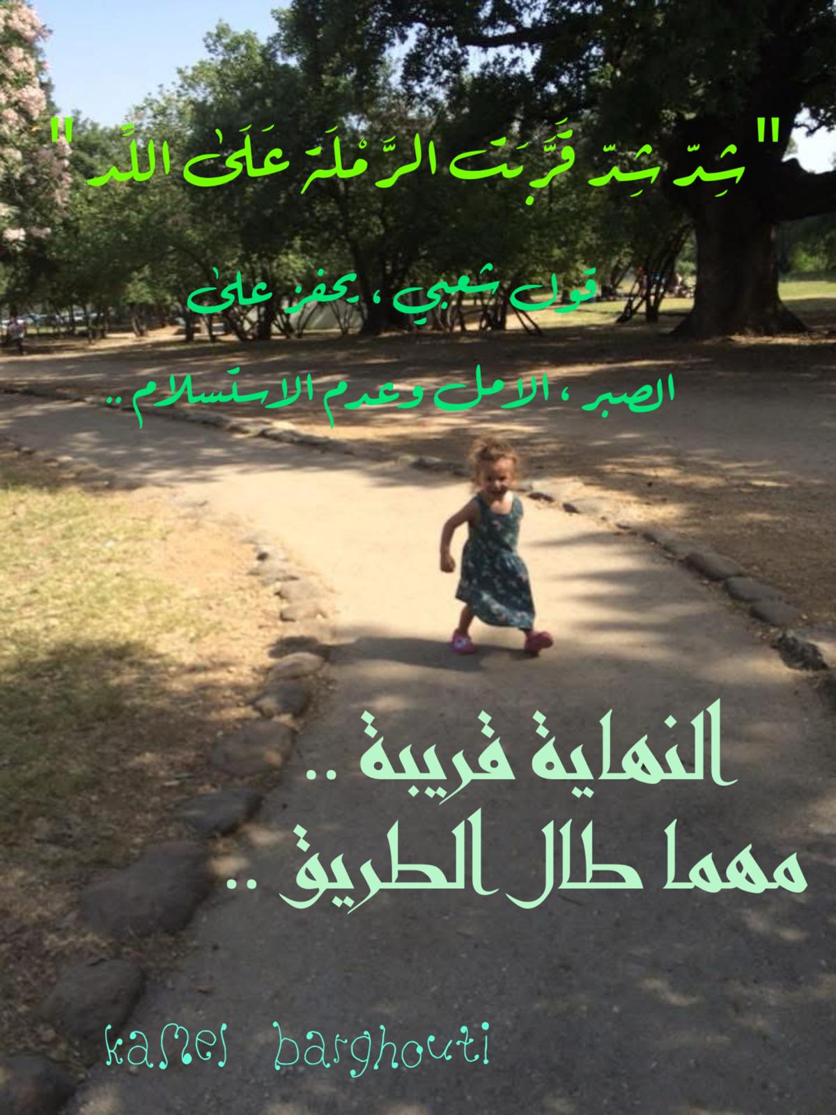أمثال محلية – اقتباس 87