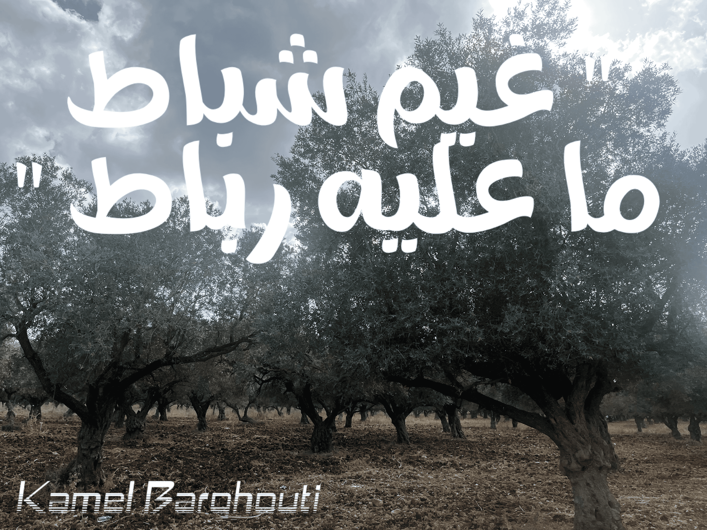 أمثال محلية – اقتباس 60