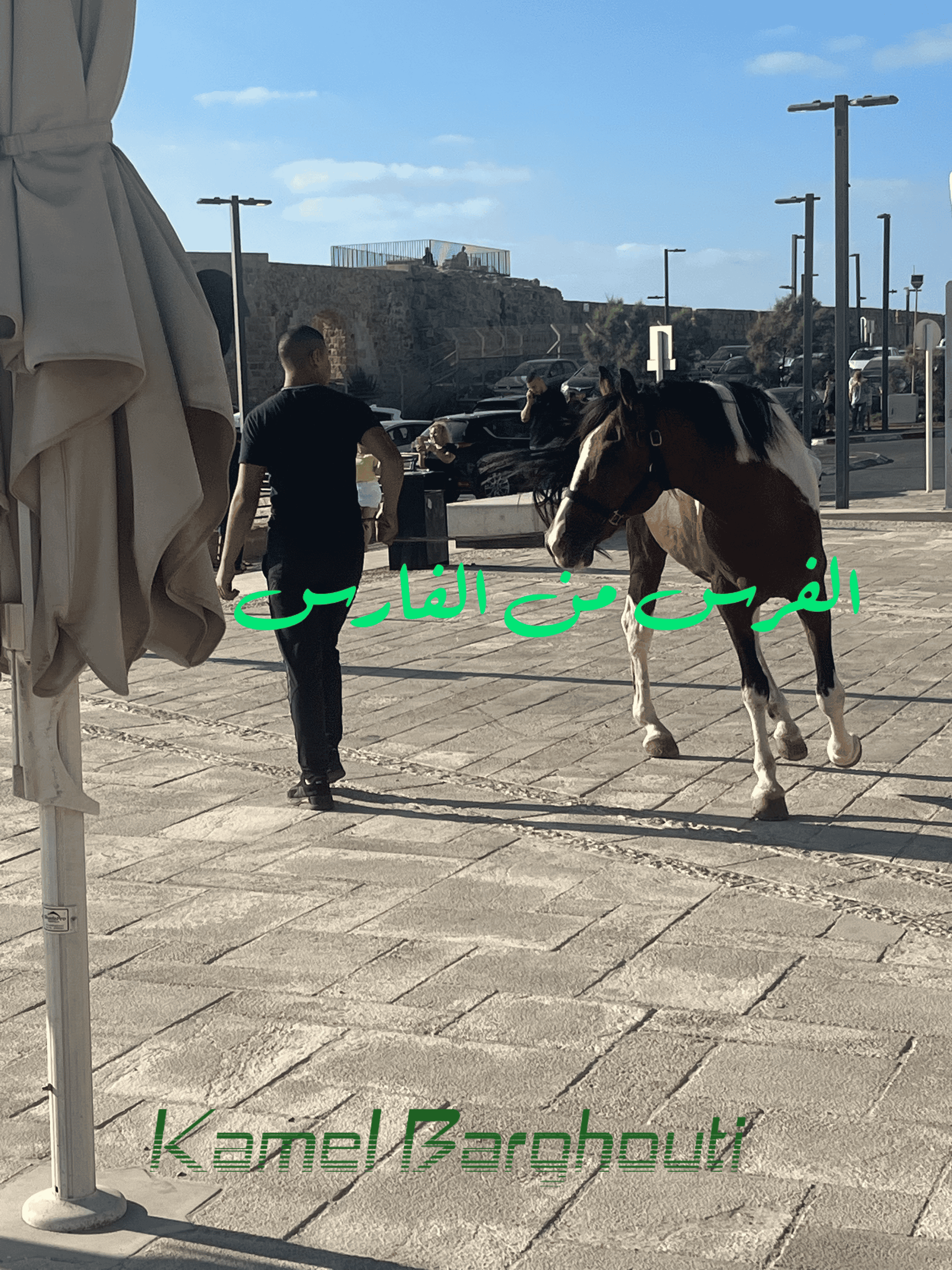 أمثال محلية – اقتباس 64