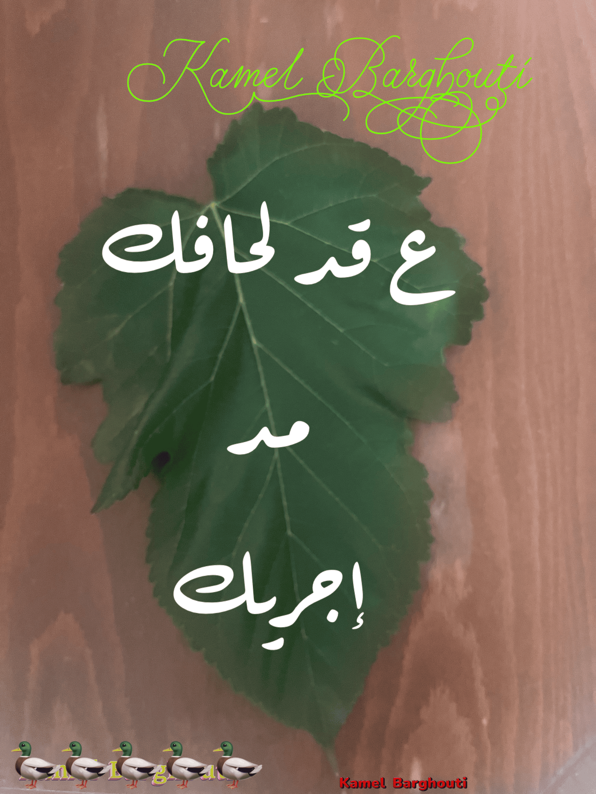 أمثال محلية – اقتباس 65