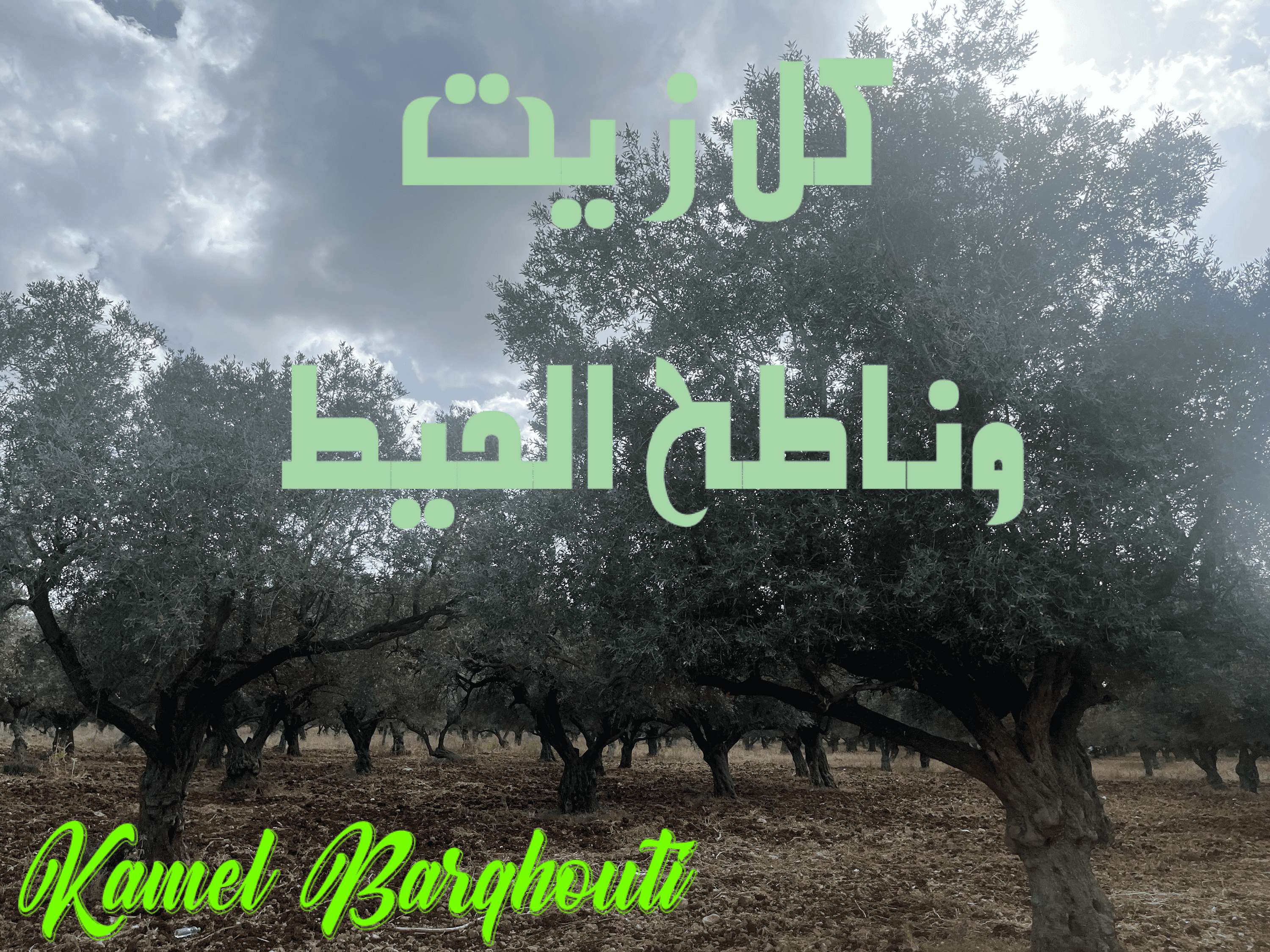 أمثال محلية – اقتباس 58
