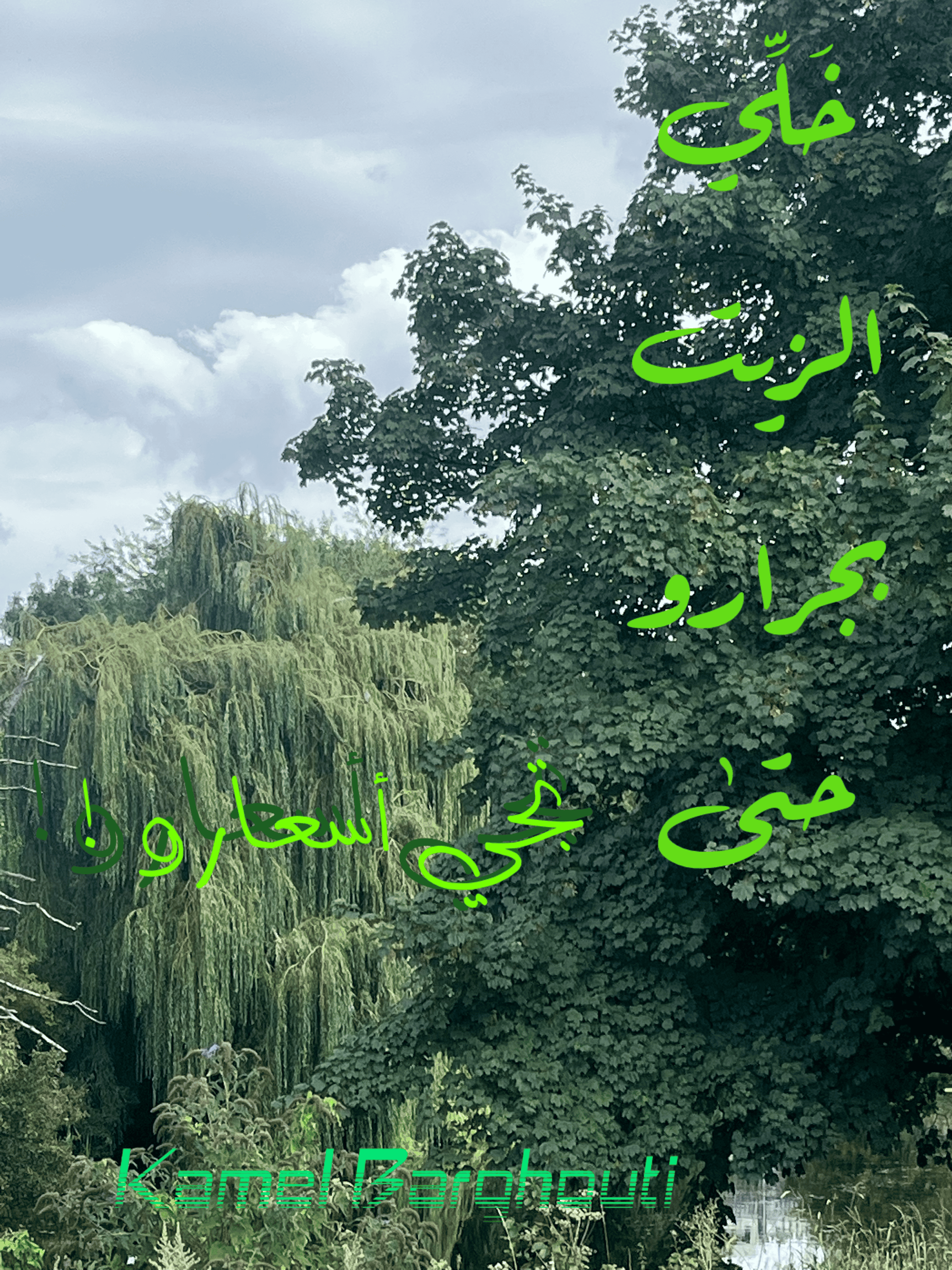 أمثال محلية – اقتباس 50