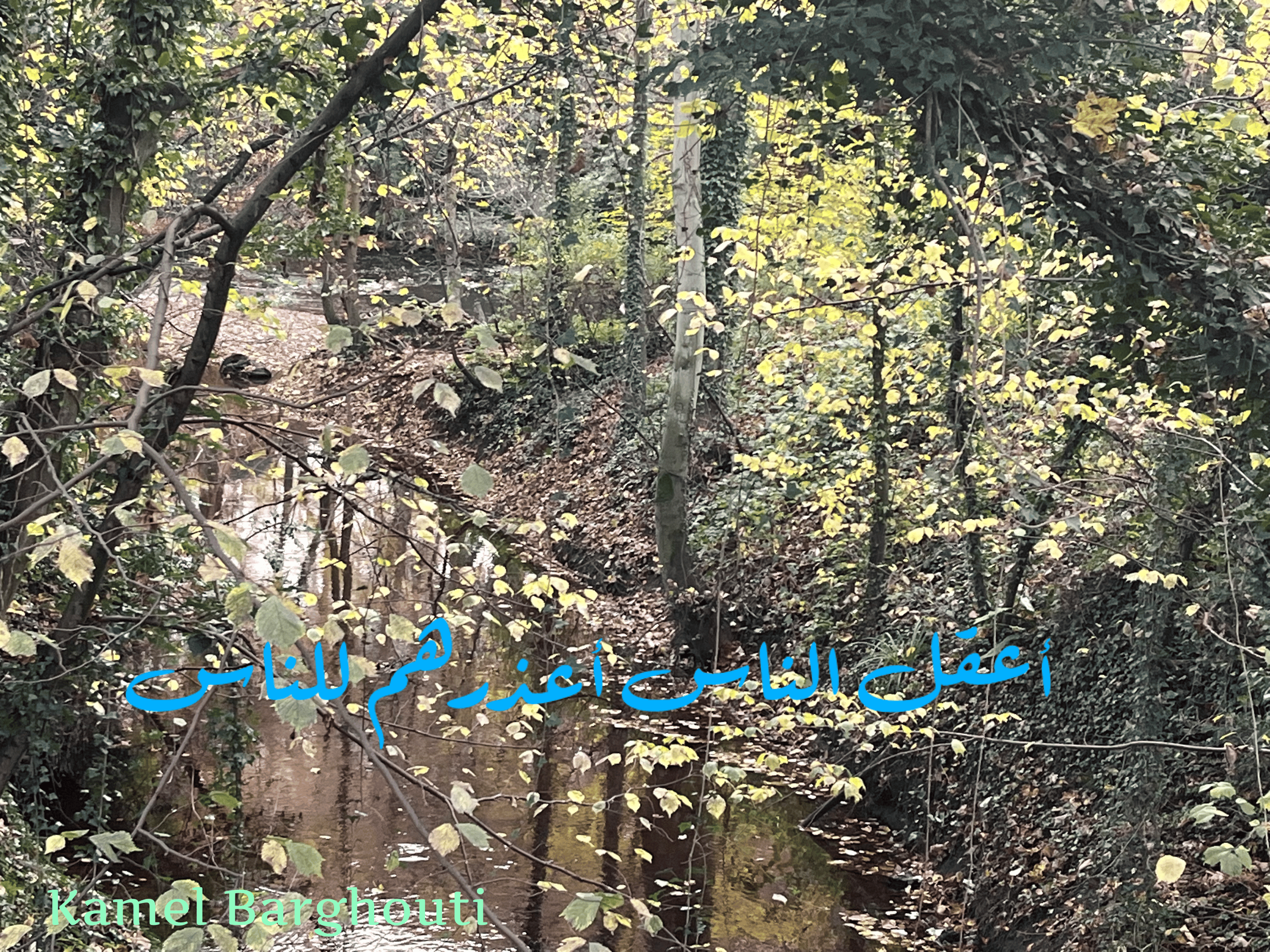 أمثال محلية – اقتباس 27