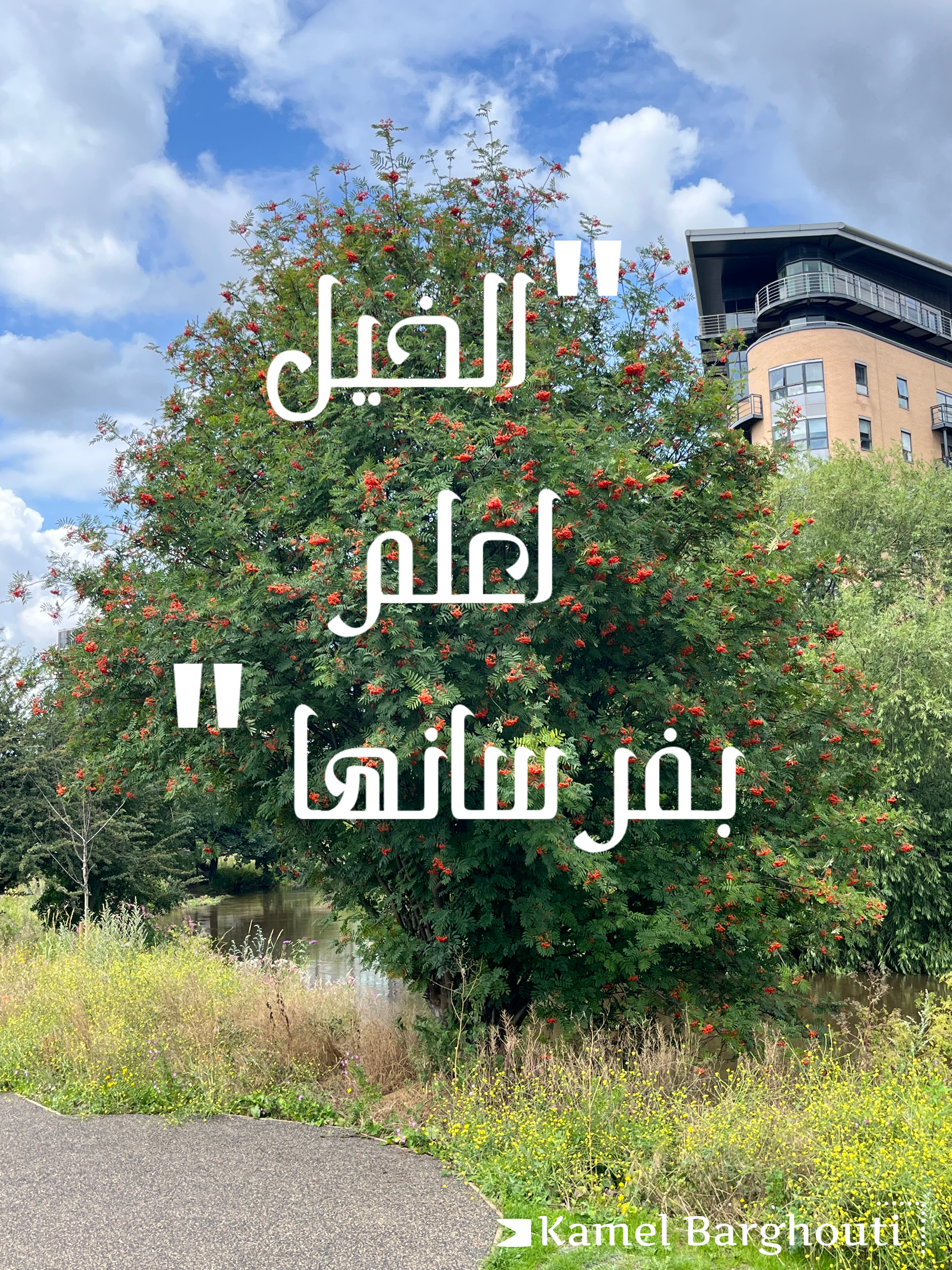 أمثال محلية – اقتباس 16