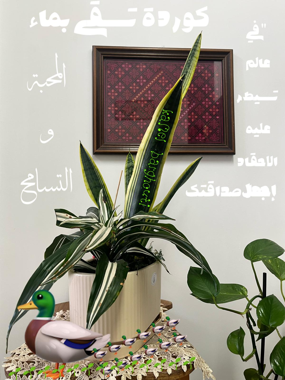 تسامح – اقتباس 10