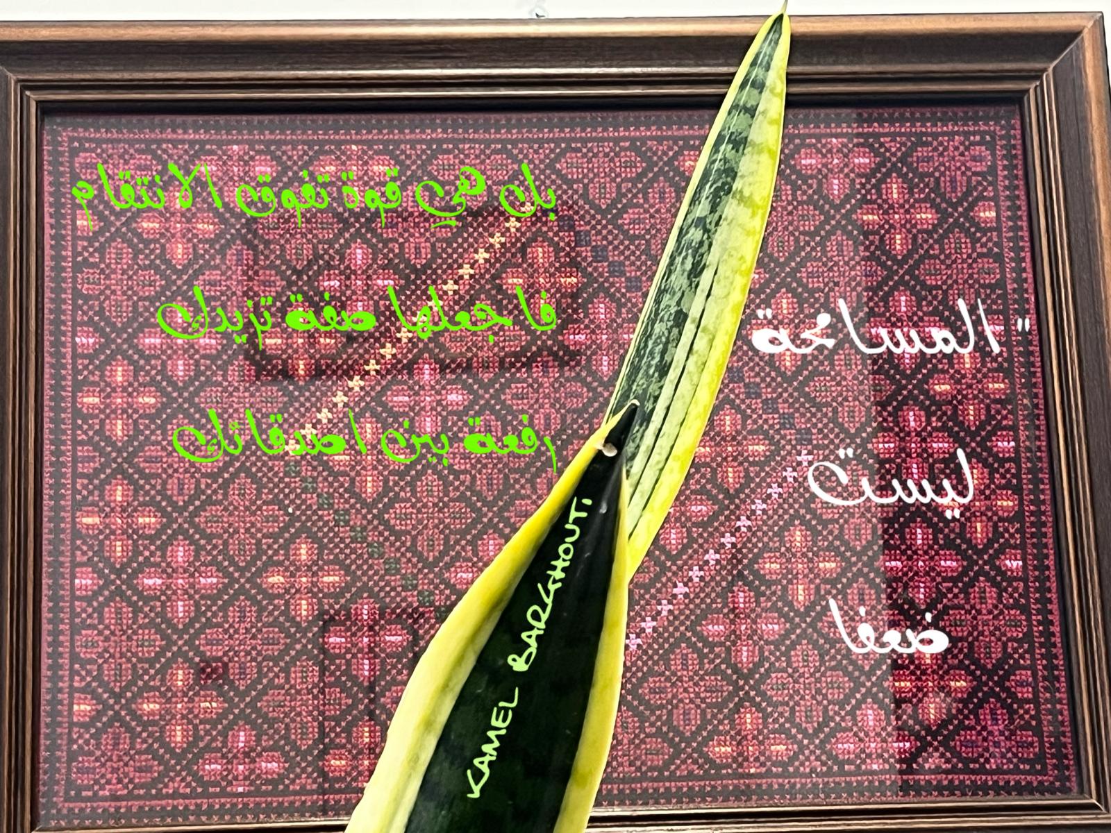 تسامح – اقتباس 20