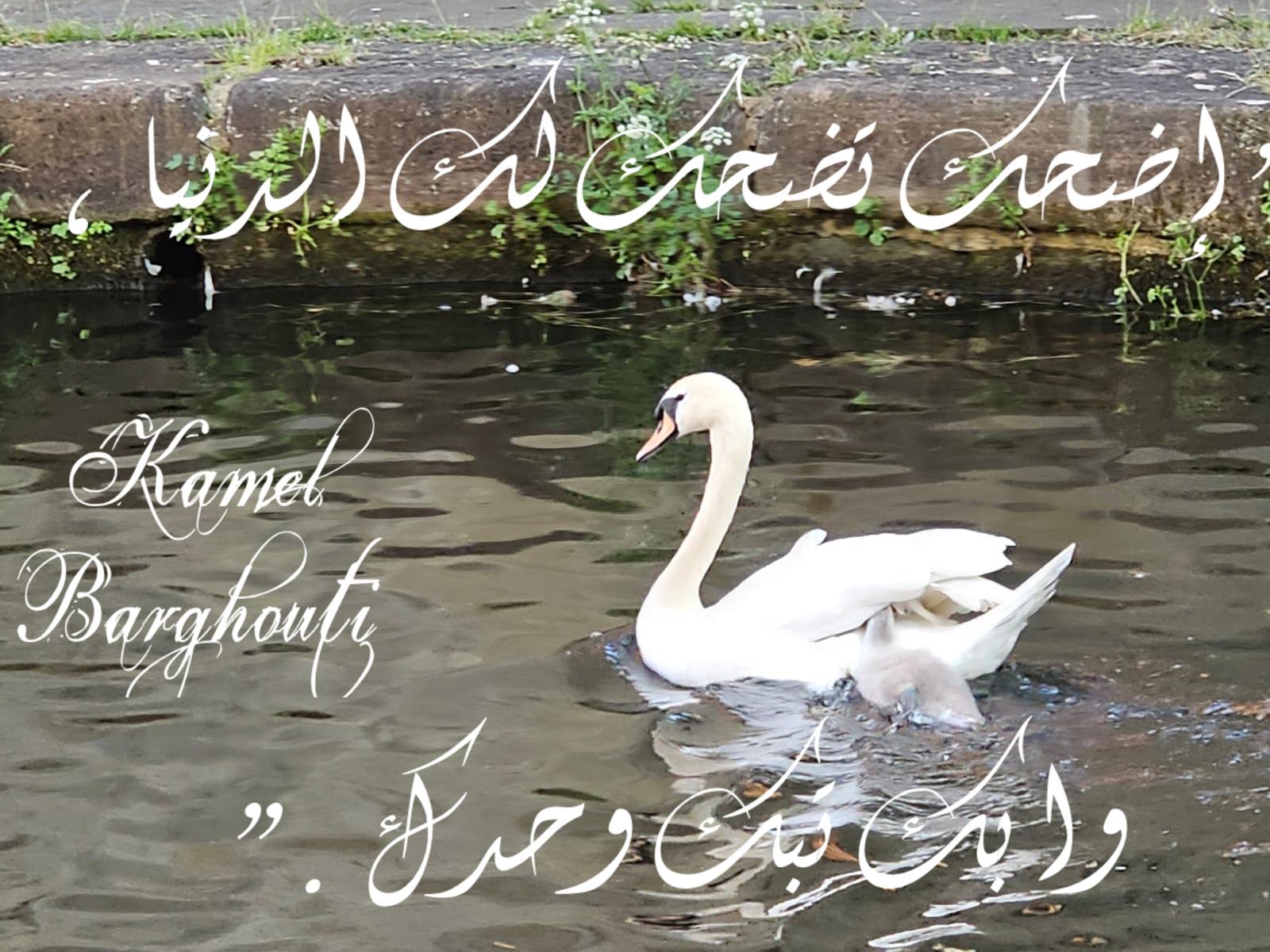 تسامح – اقتباس 14
