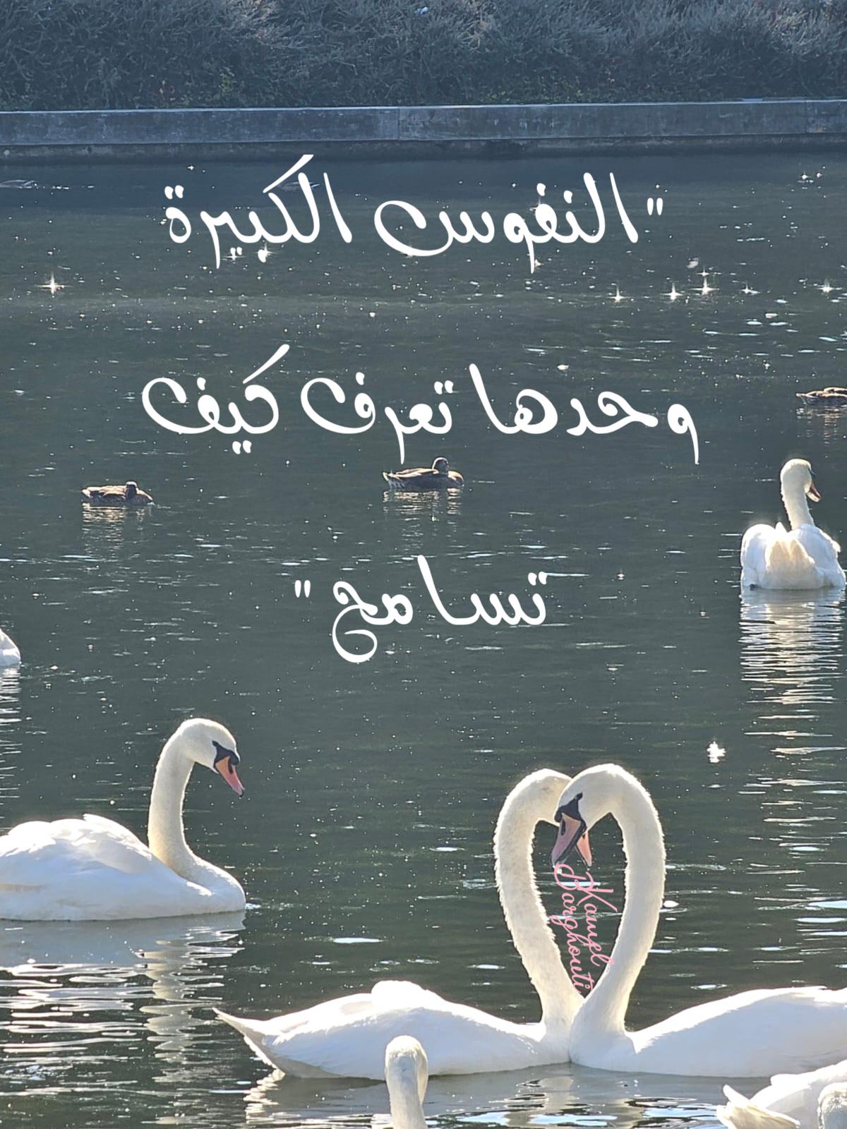 تسامح – اقتباس 12