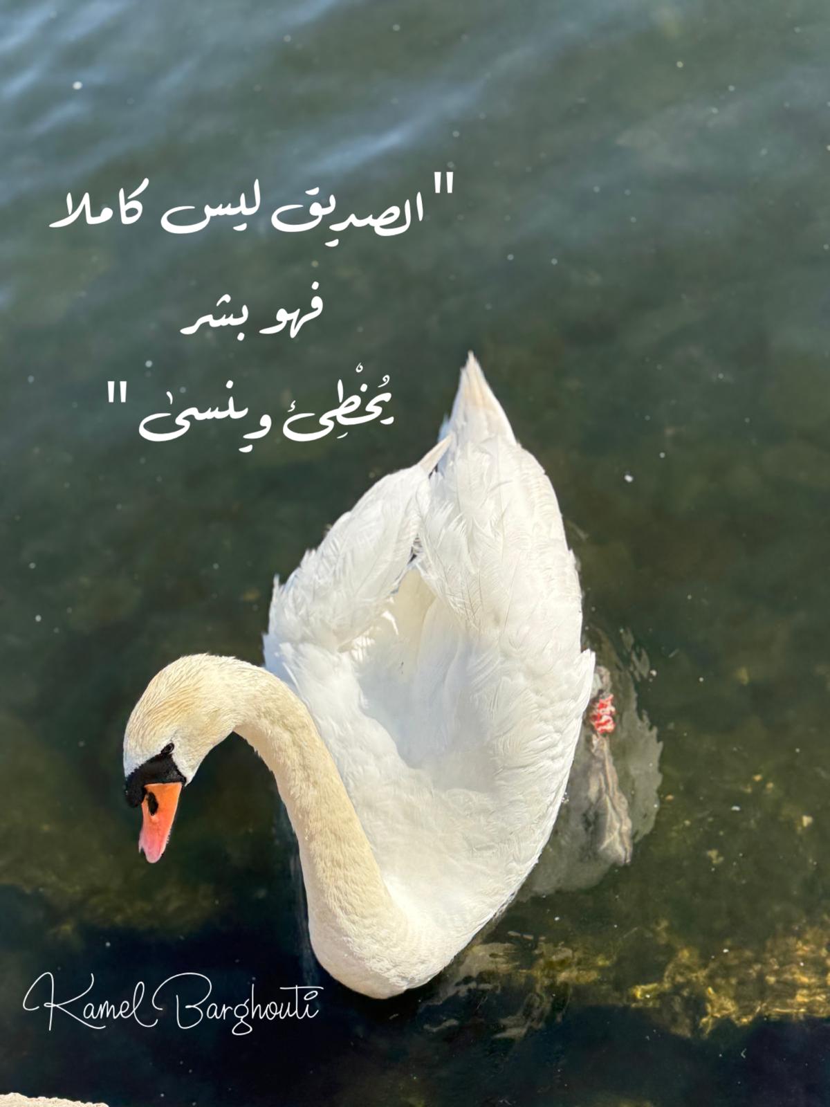 تسامح – اقتباس 8