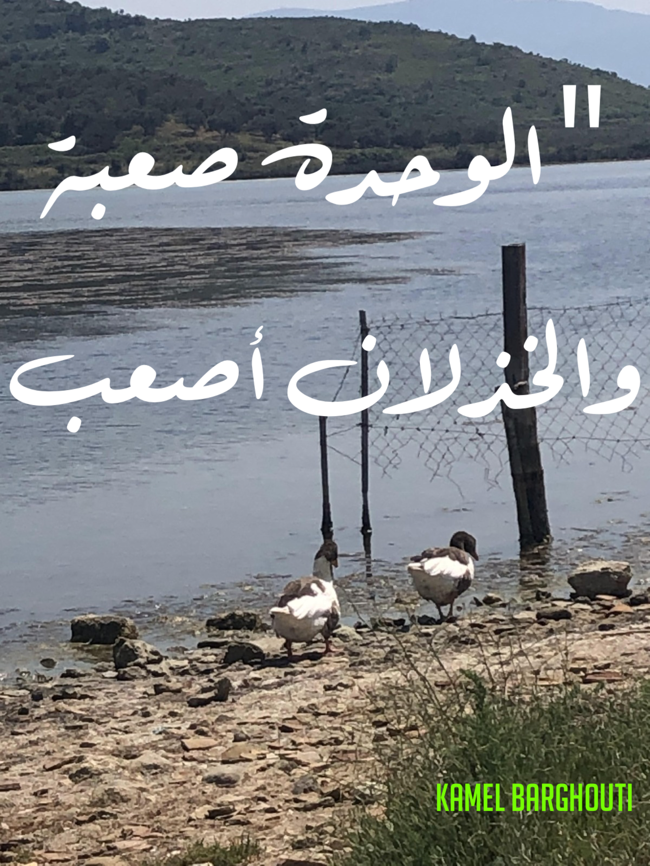 العزلة، الصمت، والتأمل – اقتباس 61