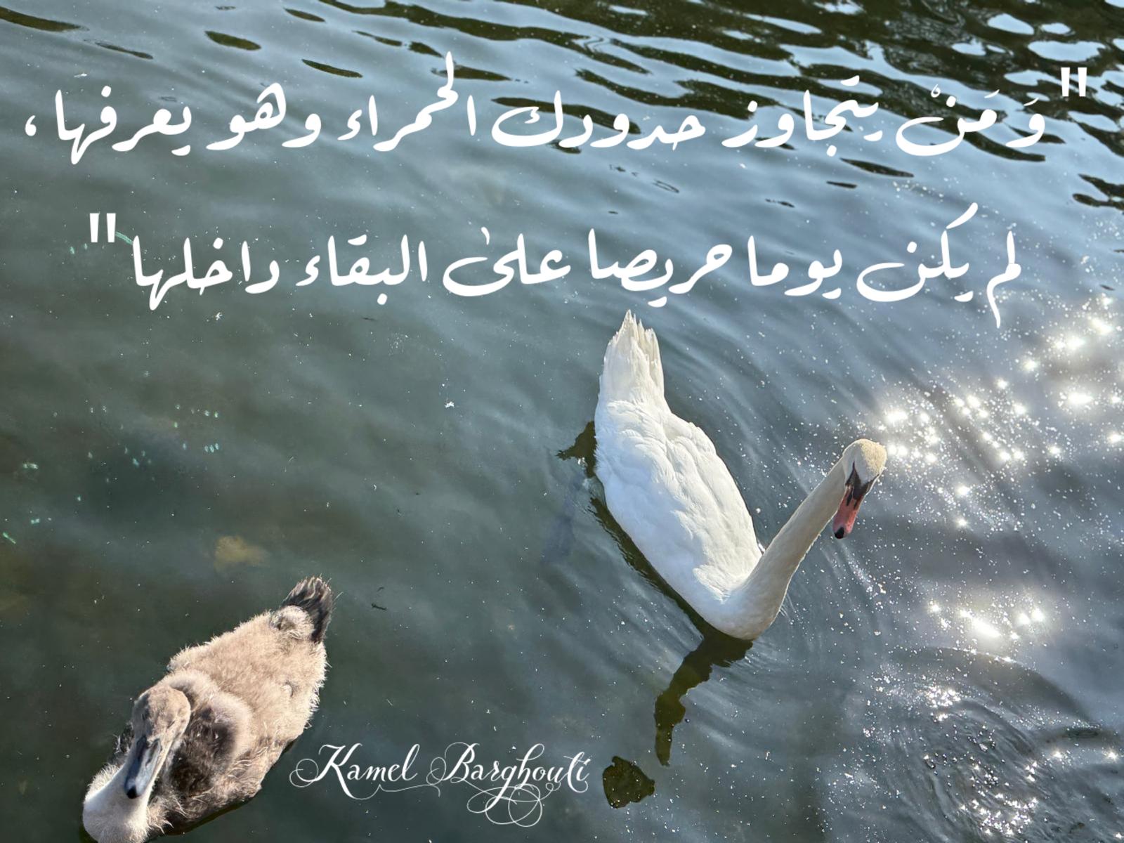 صباح الخير – اقتباس 83