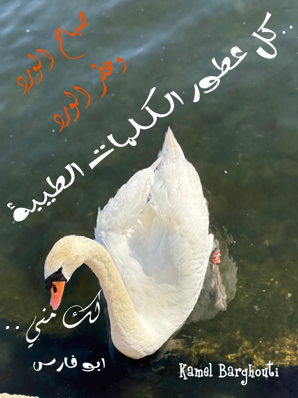 صباح الخير – اقتباس 89