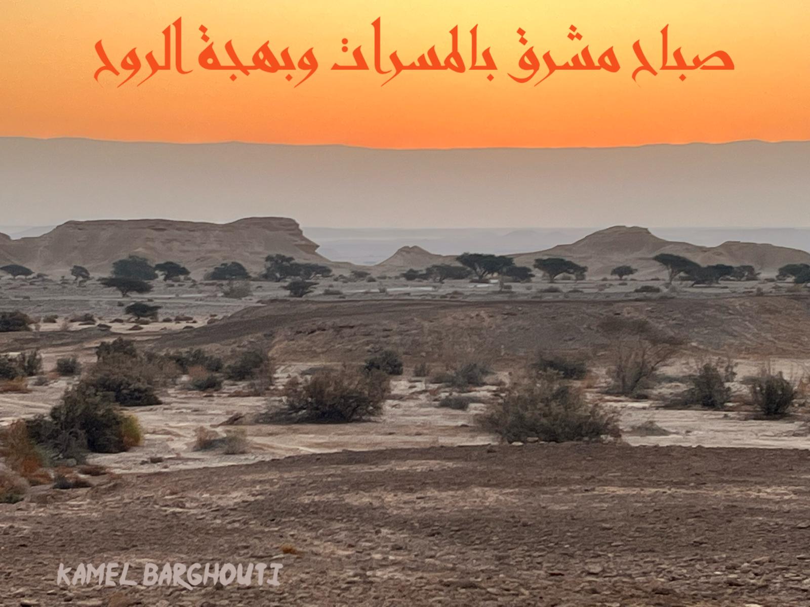 صباح الخير – اقتباس 81