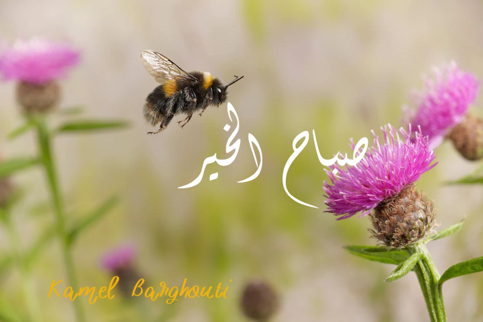 صباح الخير – اقتباس 87