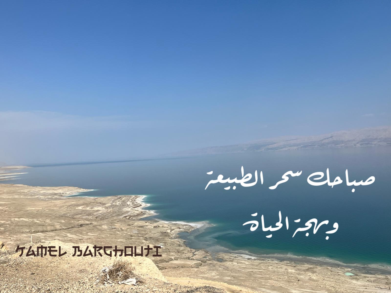 صباح الخير – اقتباس 91
