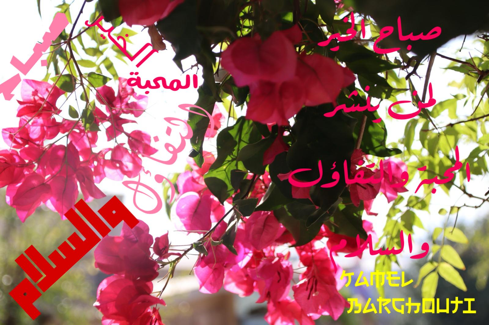 صباح الخير – اقتباس 84