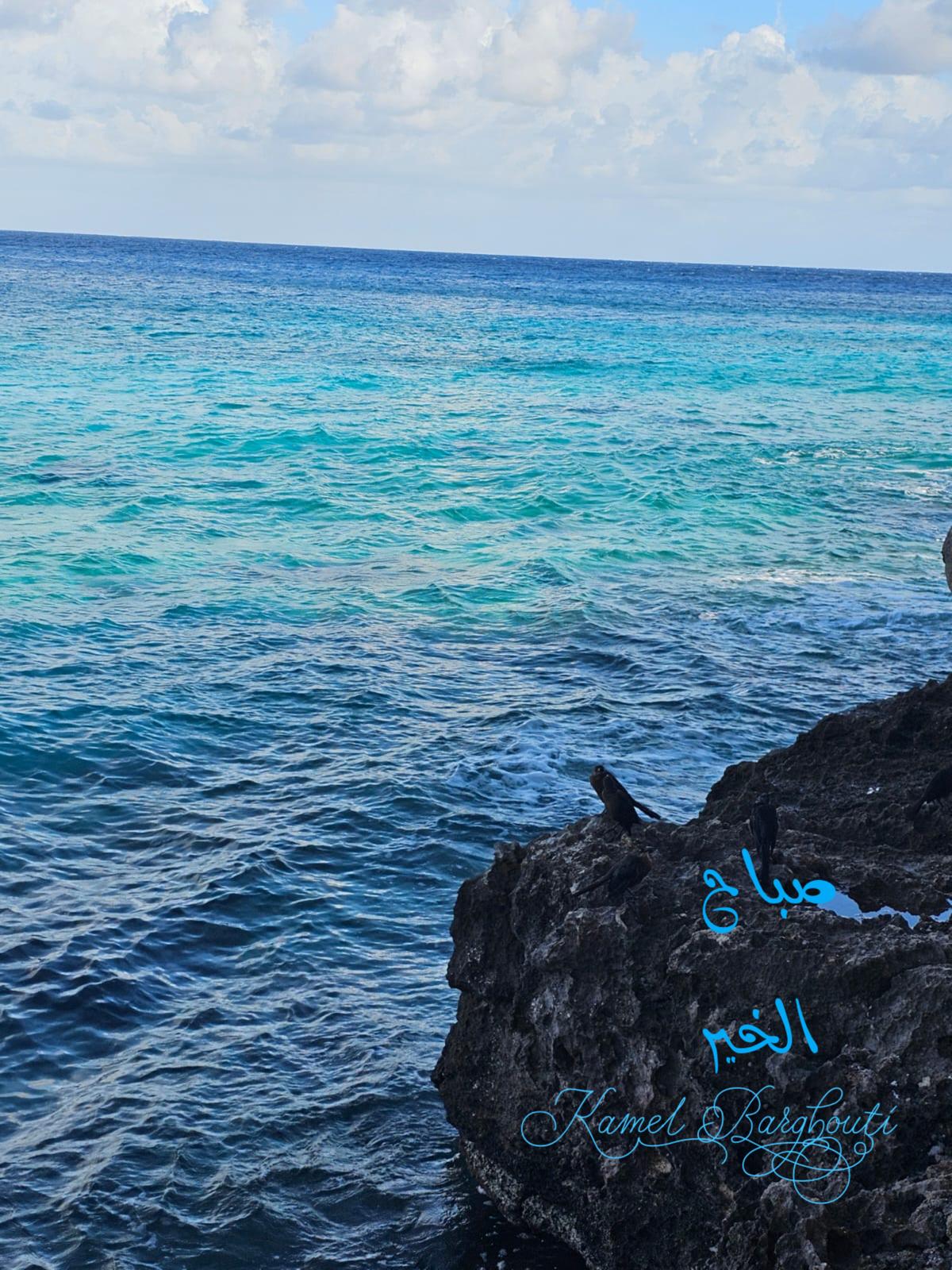 صباح الخير – اقتباس 72