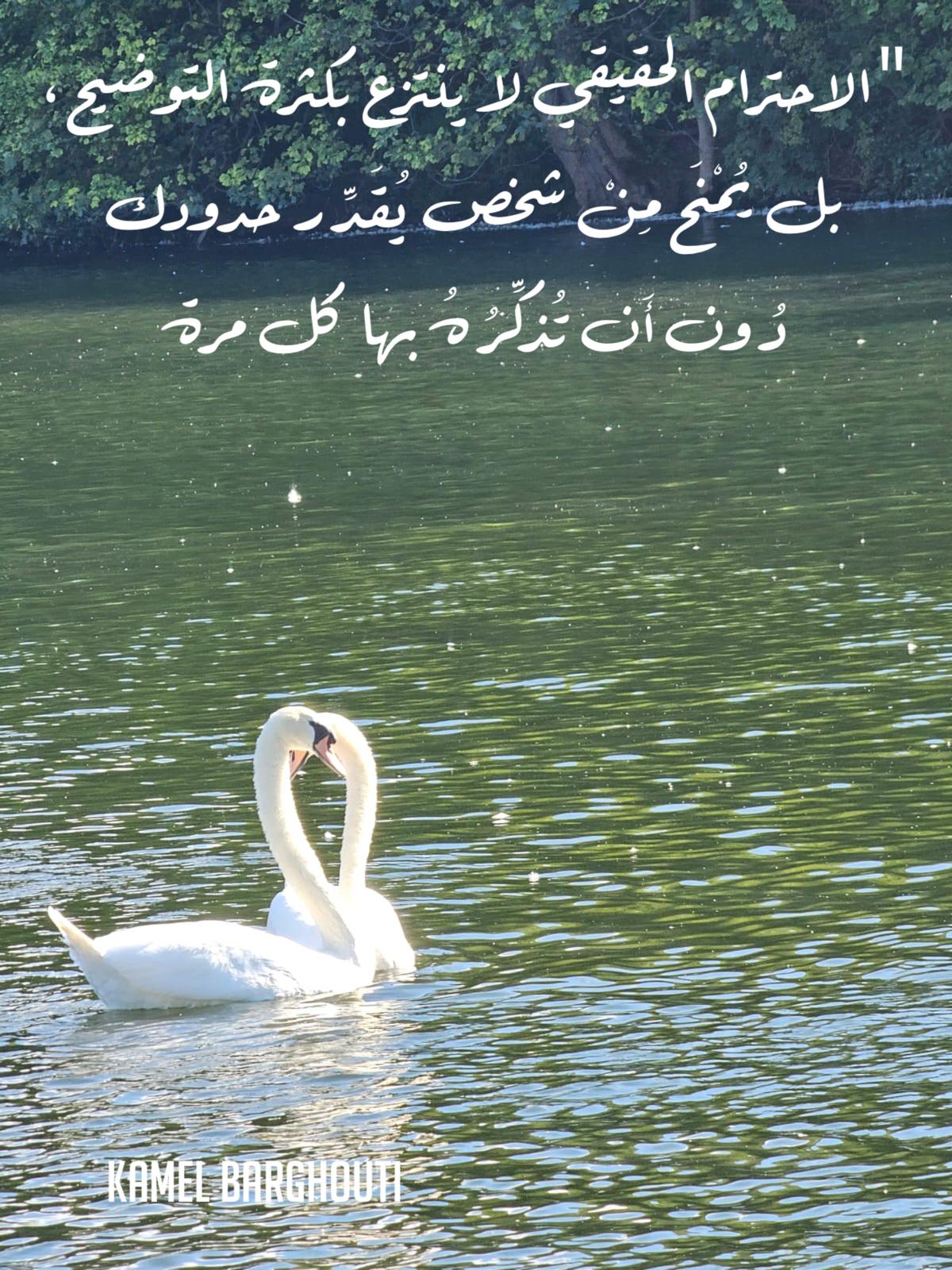 صباح الخير – اقتباس 44