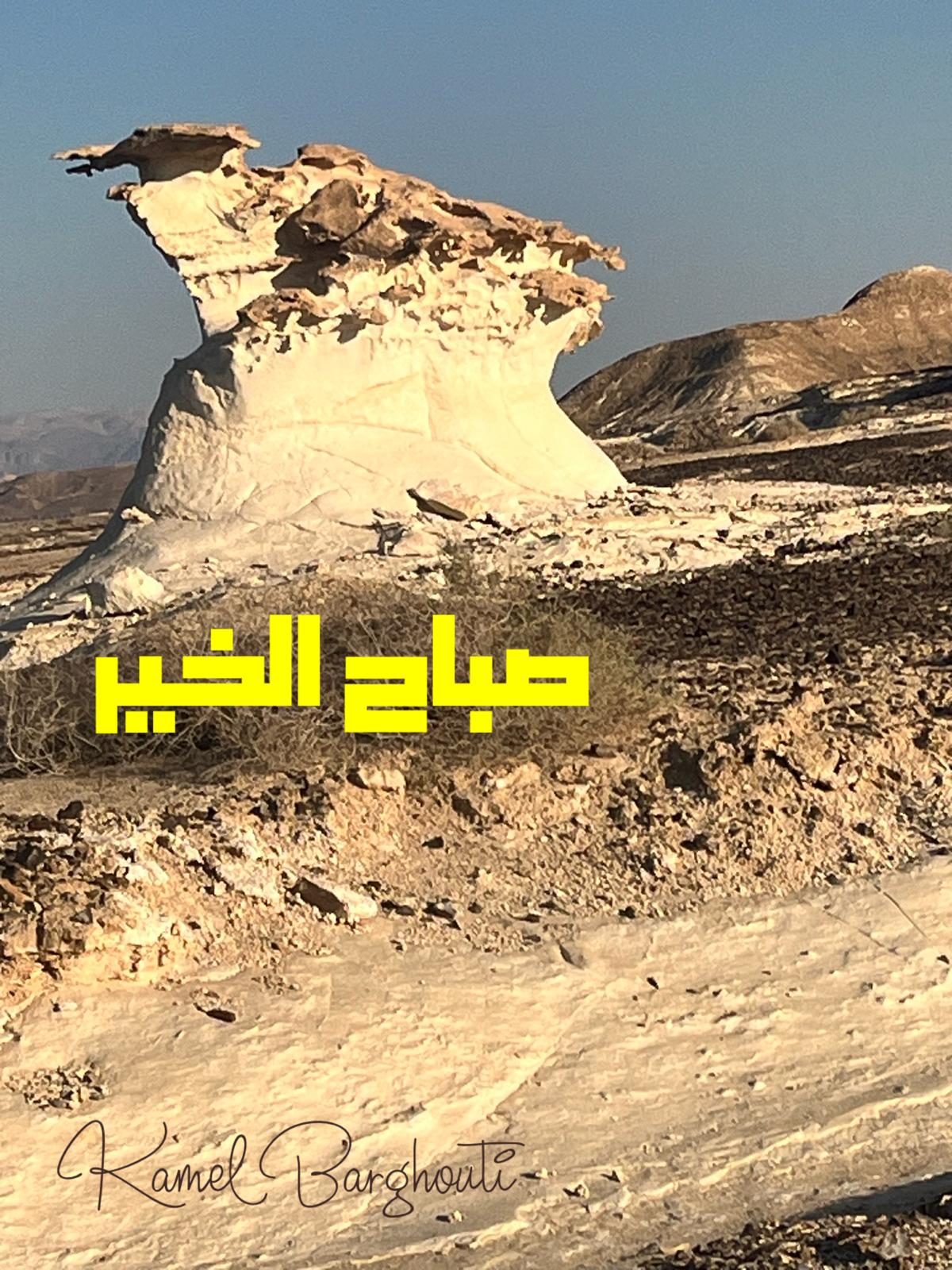 صباح الخير – اقتباس 70