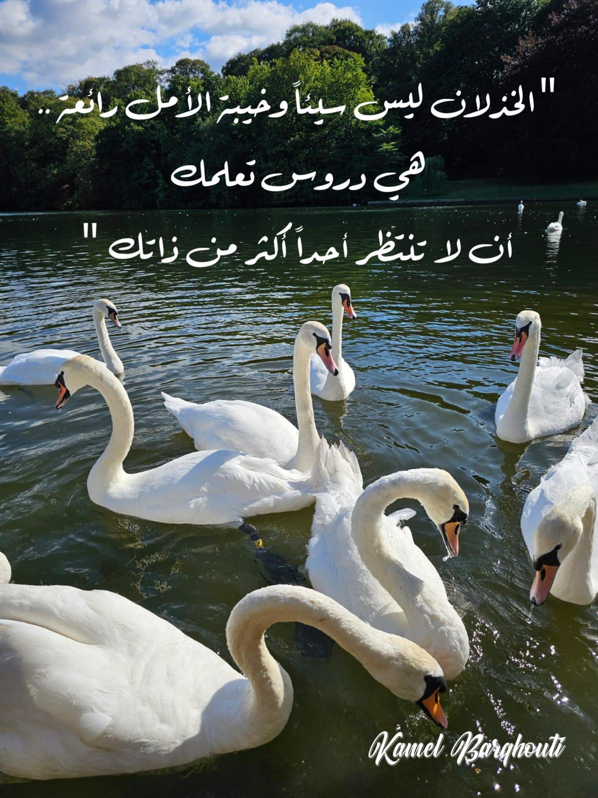 صباح الخير – اقتباس 65
