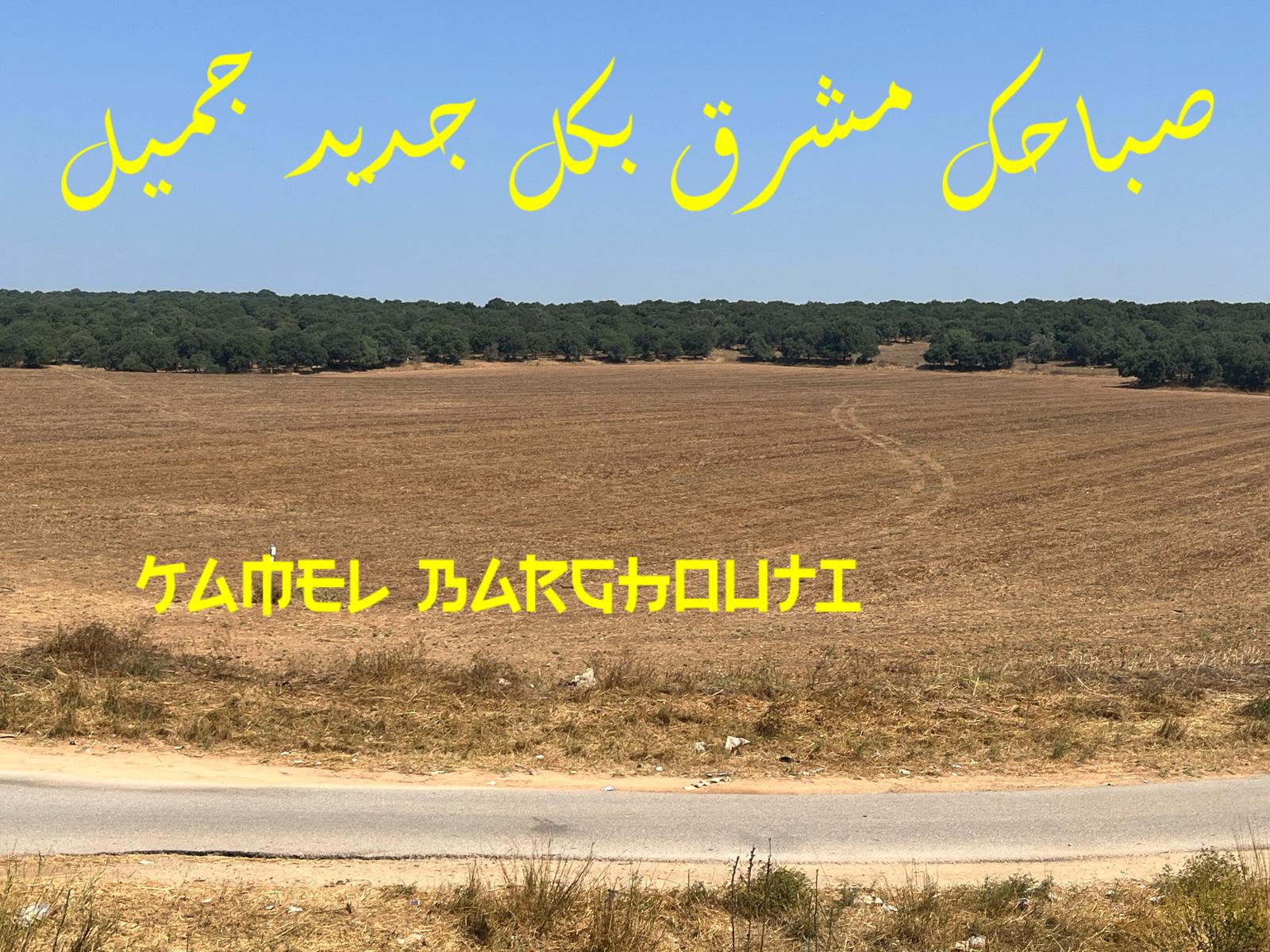 صباح الخير – اقتباس 40