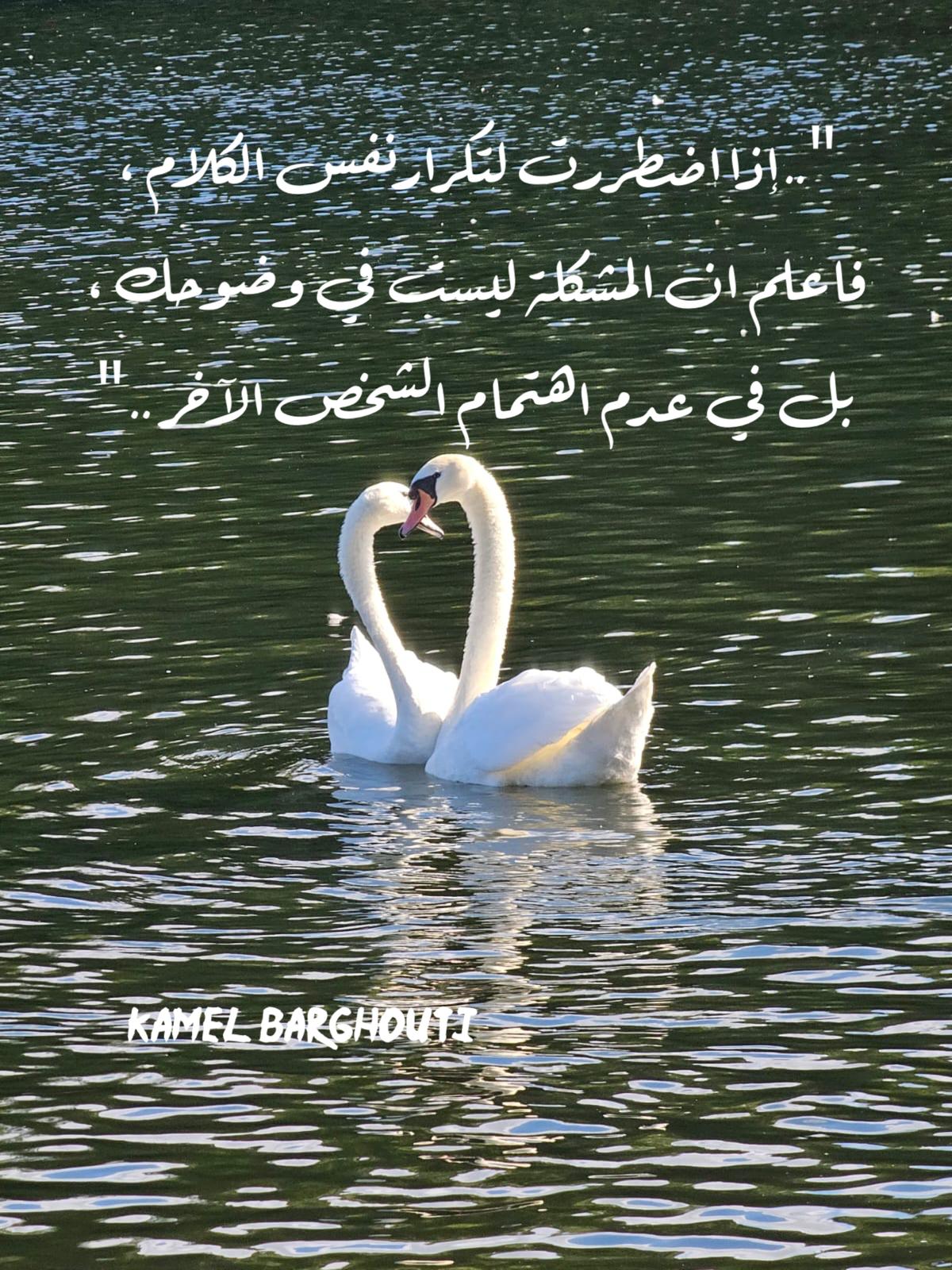 صباح الخير – اقتباس 47