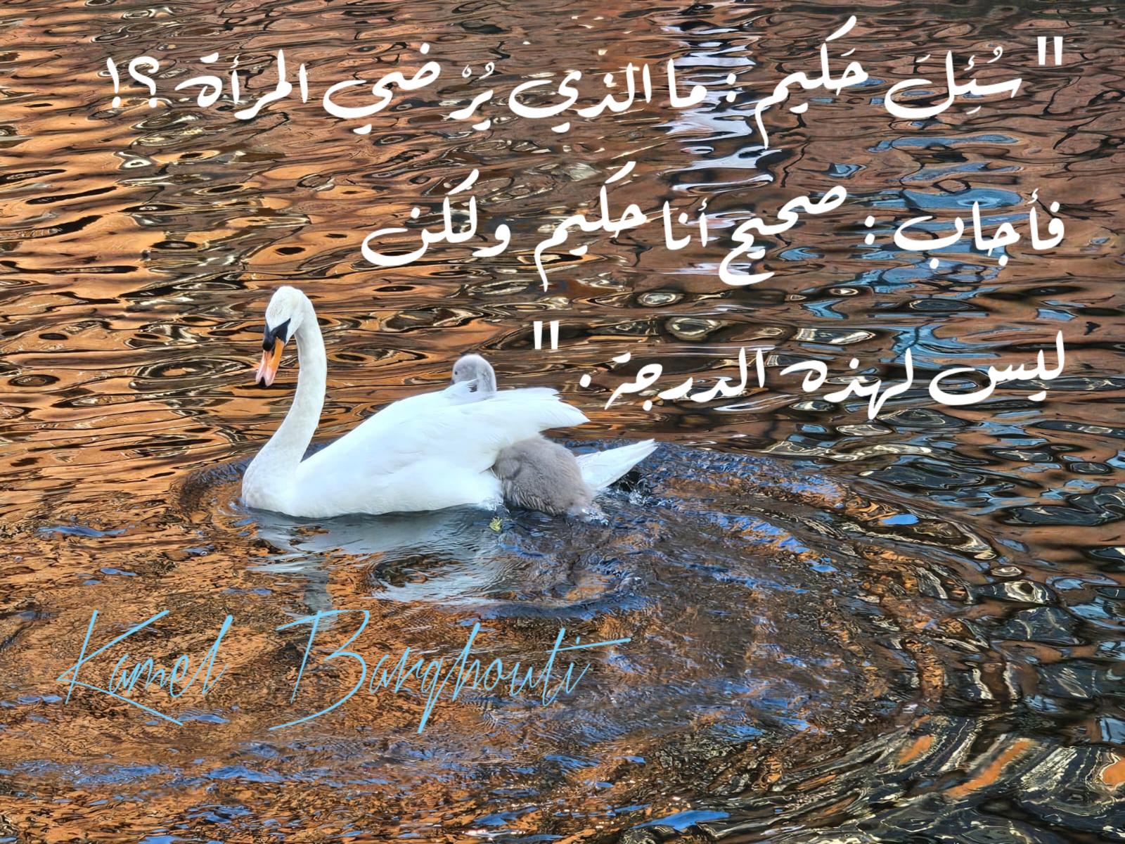 صباح الخير – اقتباس 34