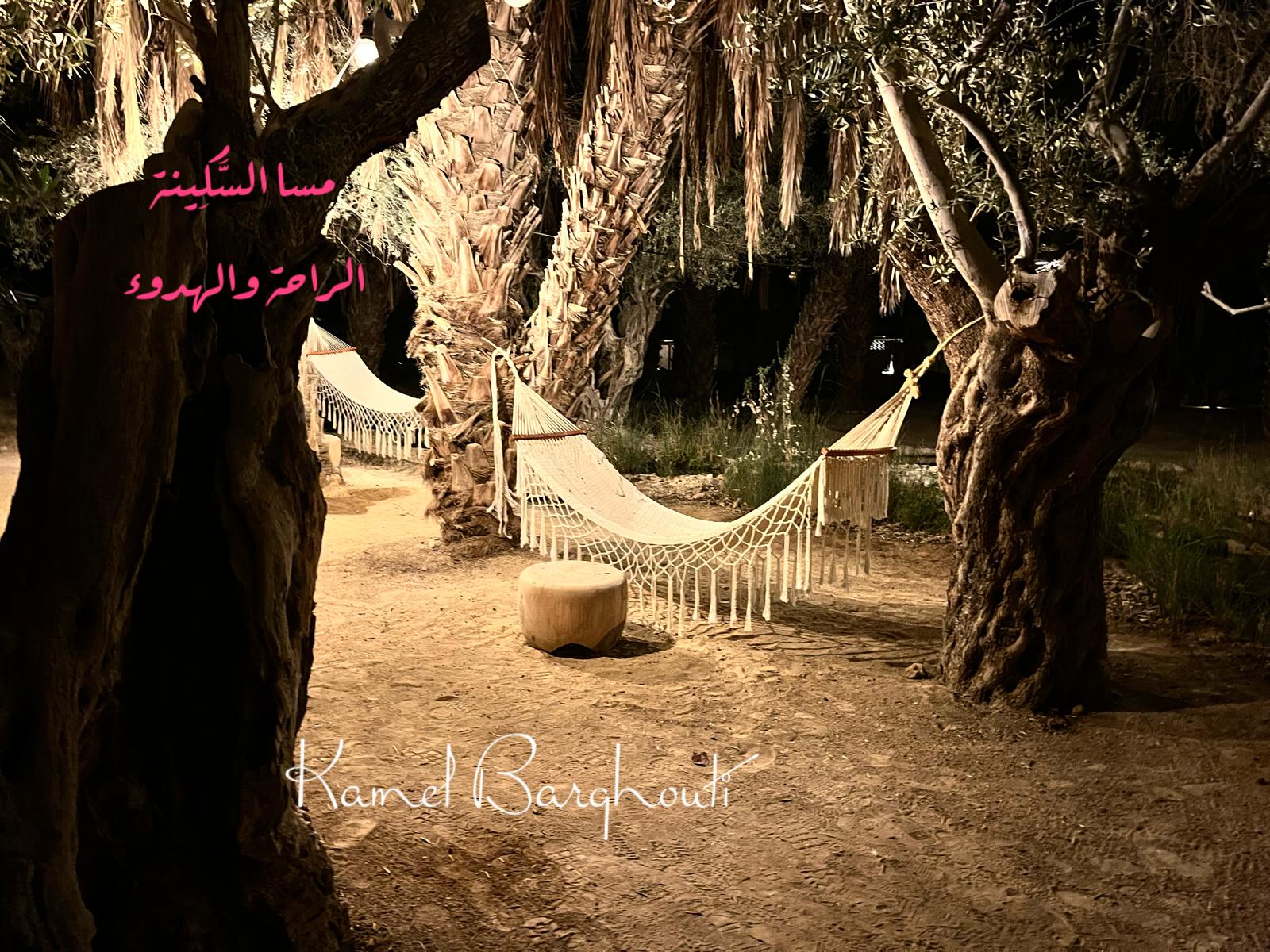 مساء الخير – اقتباس 13