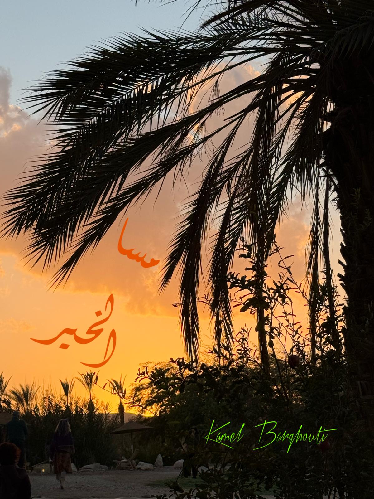 مساء الخير – اقتباس 10
