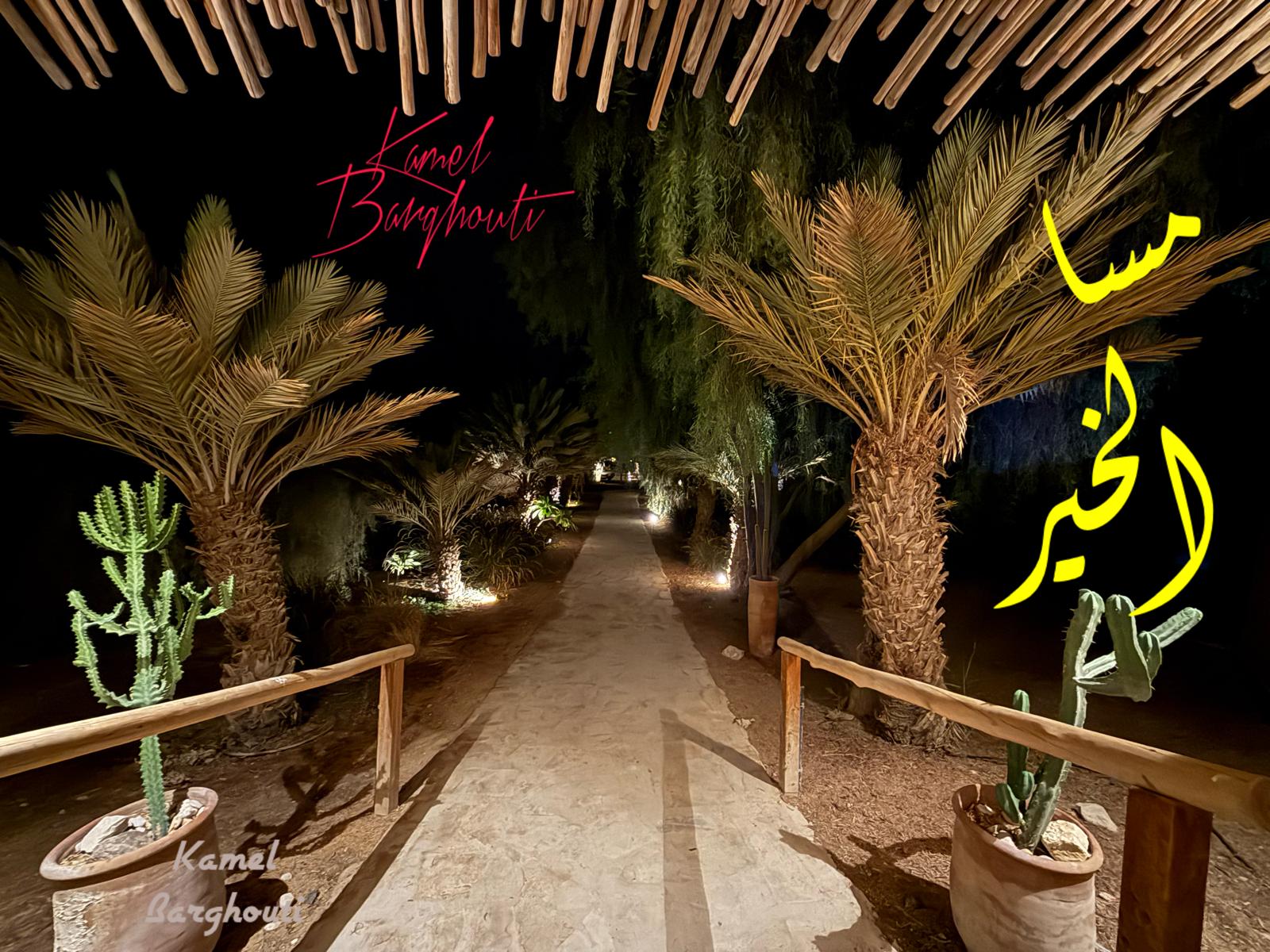 مساء الخير – اقتباس 12